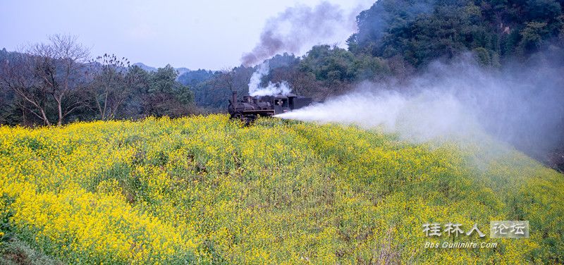 IMG_3530_.jpg