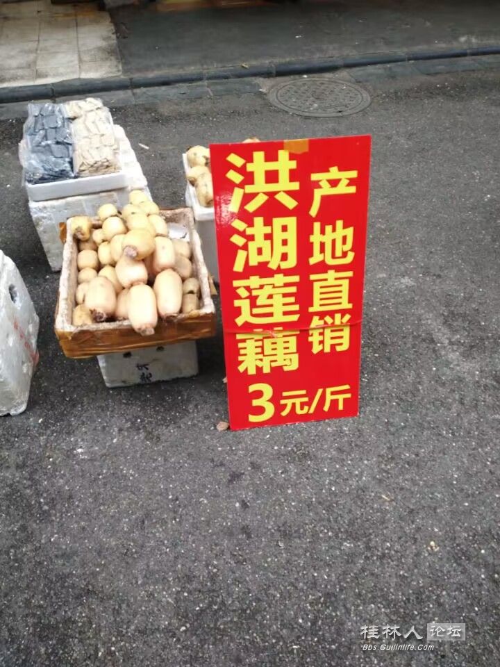 ͼ202303182249393601..jpg