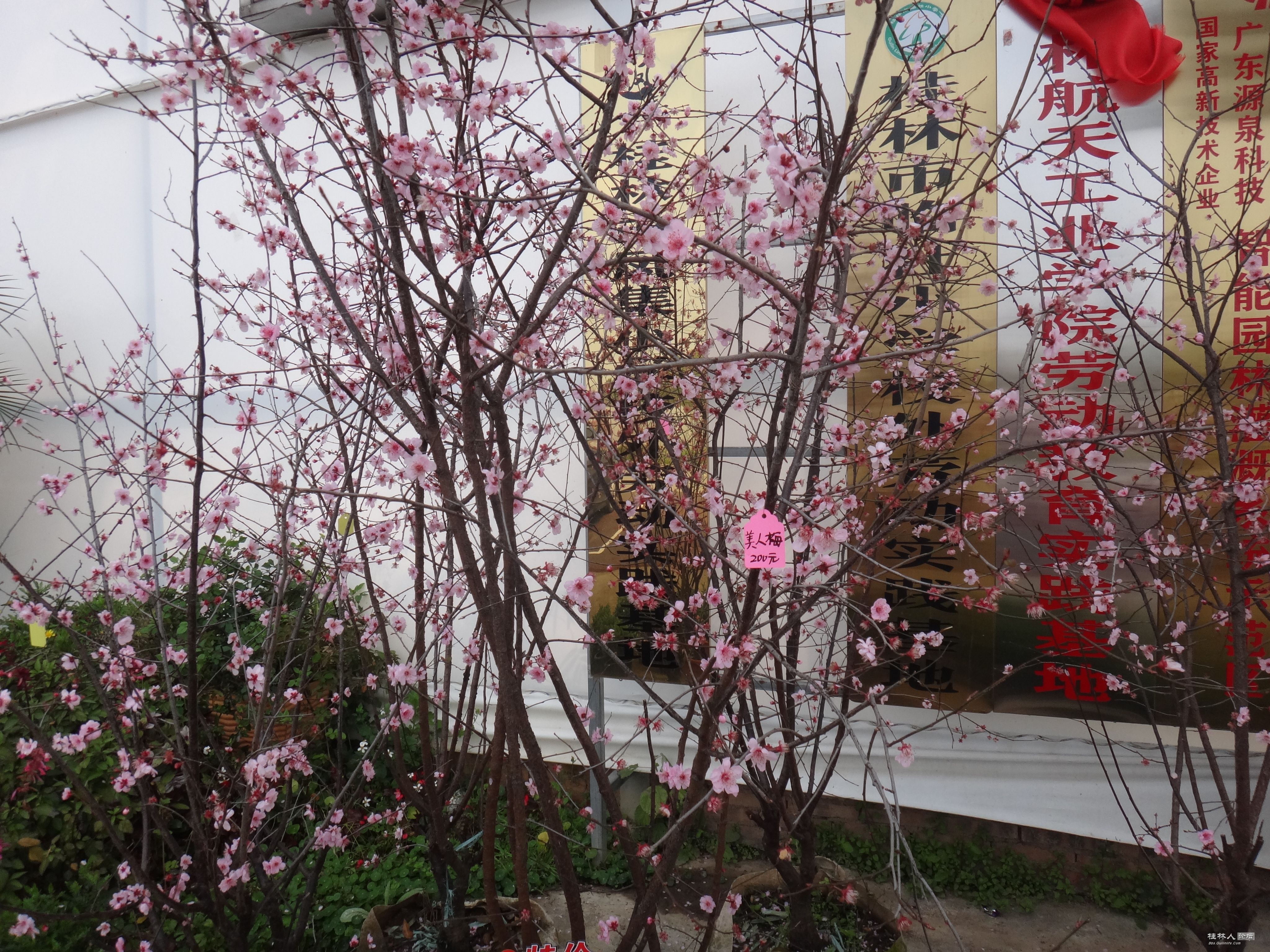 DSC03855.JPG