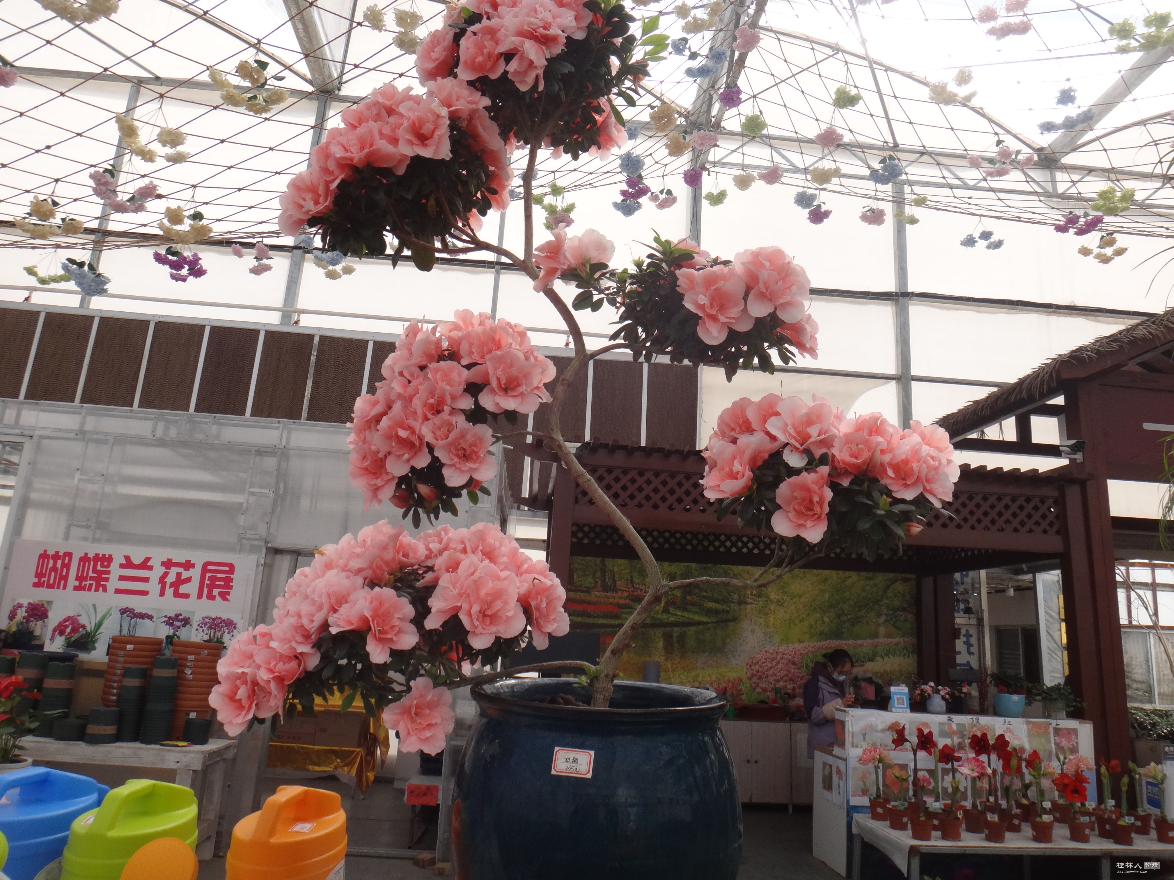 DSC03862.JPG