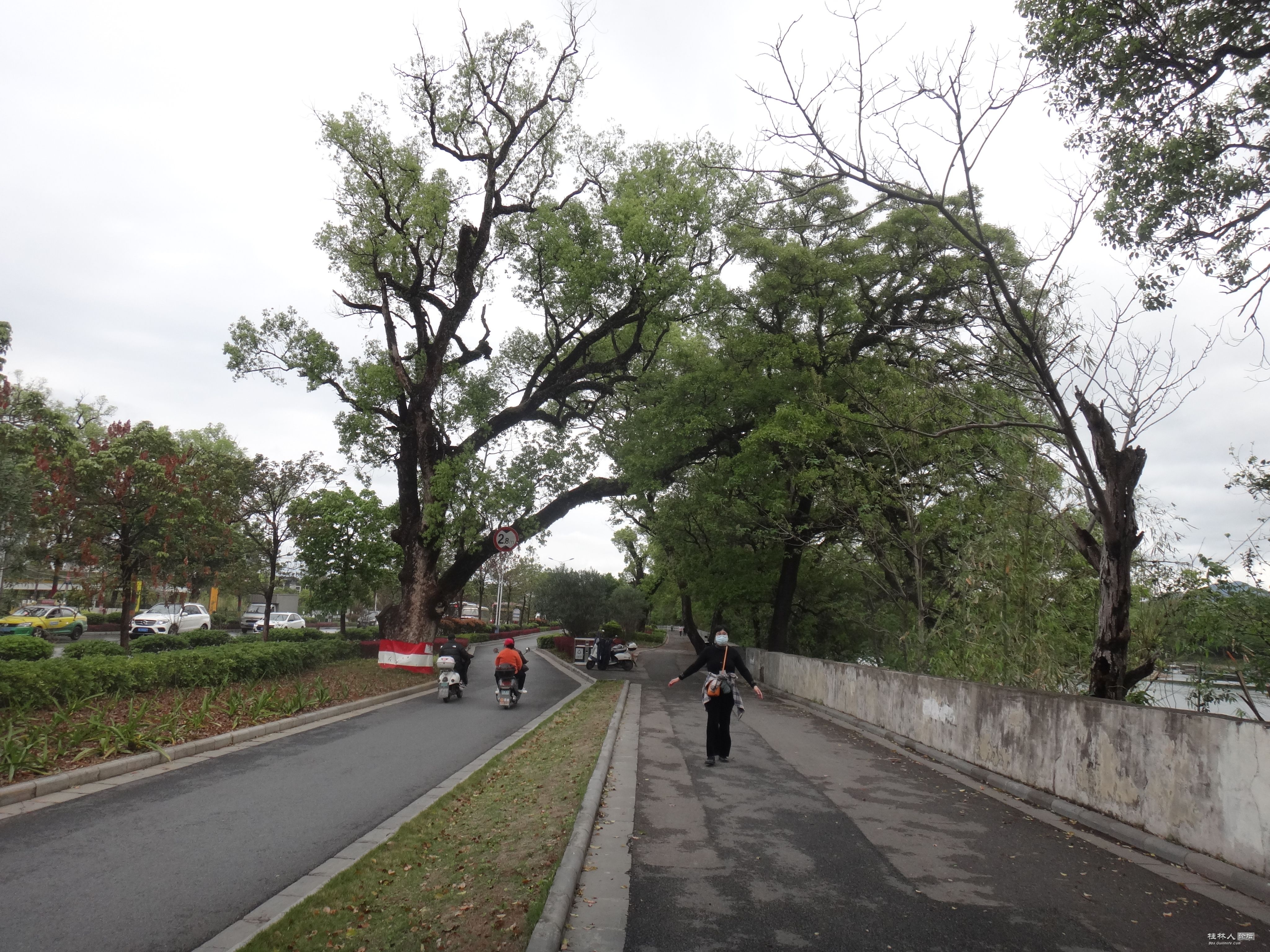 DSC04081.JPG