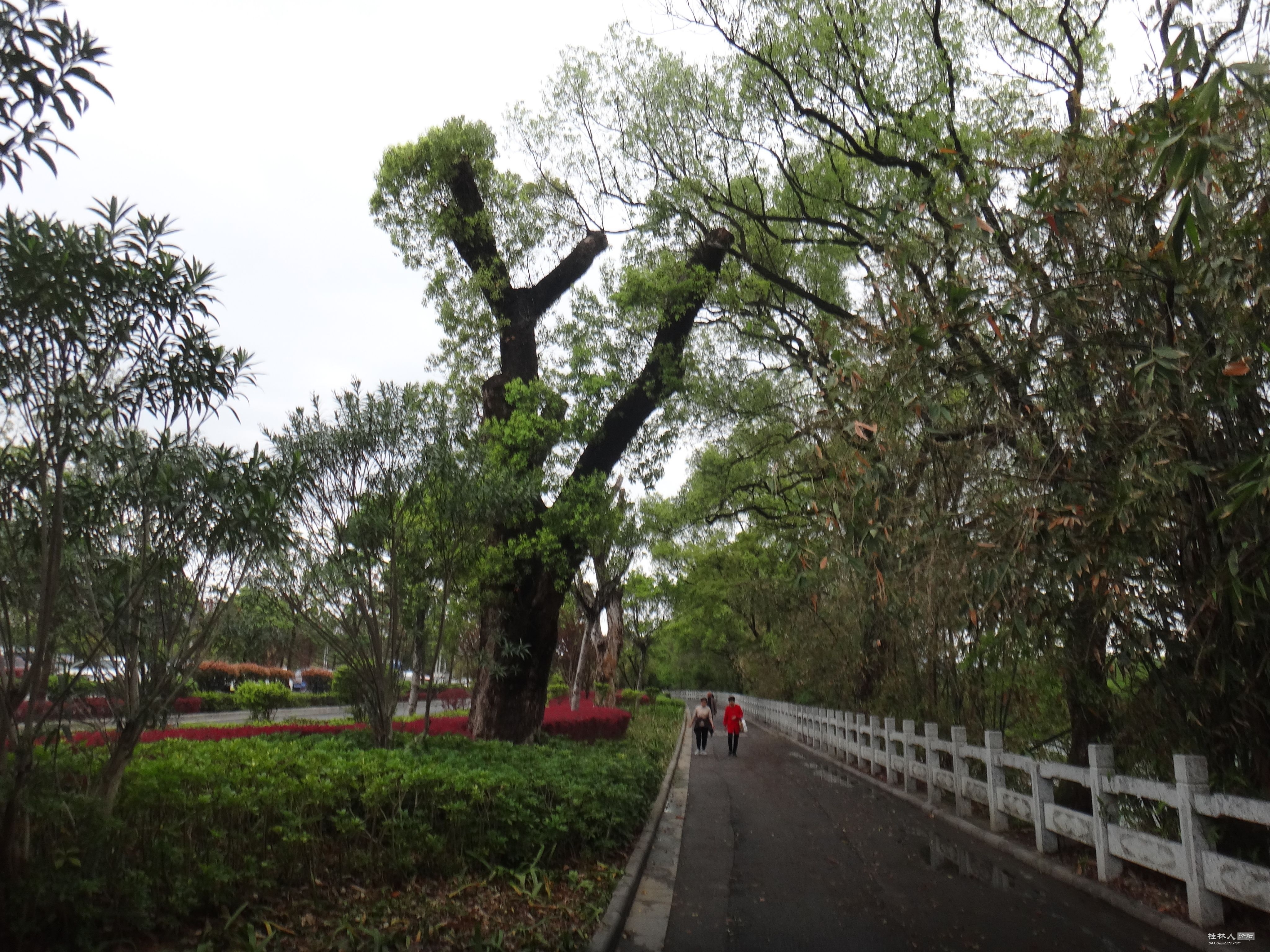 DSC04083.JPG