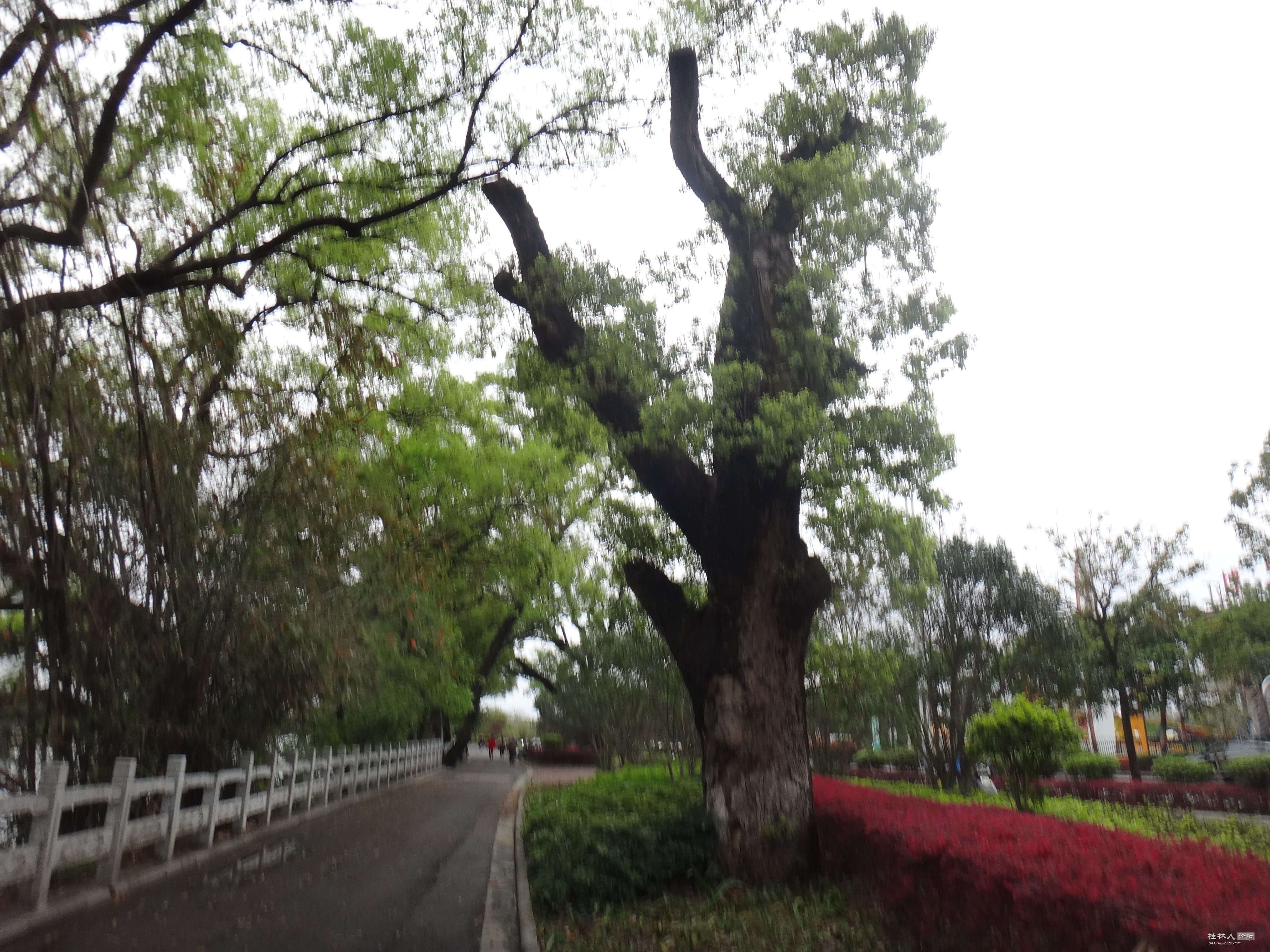 DSC04084.JPG