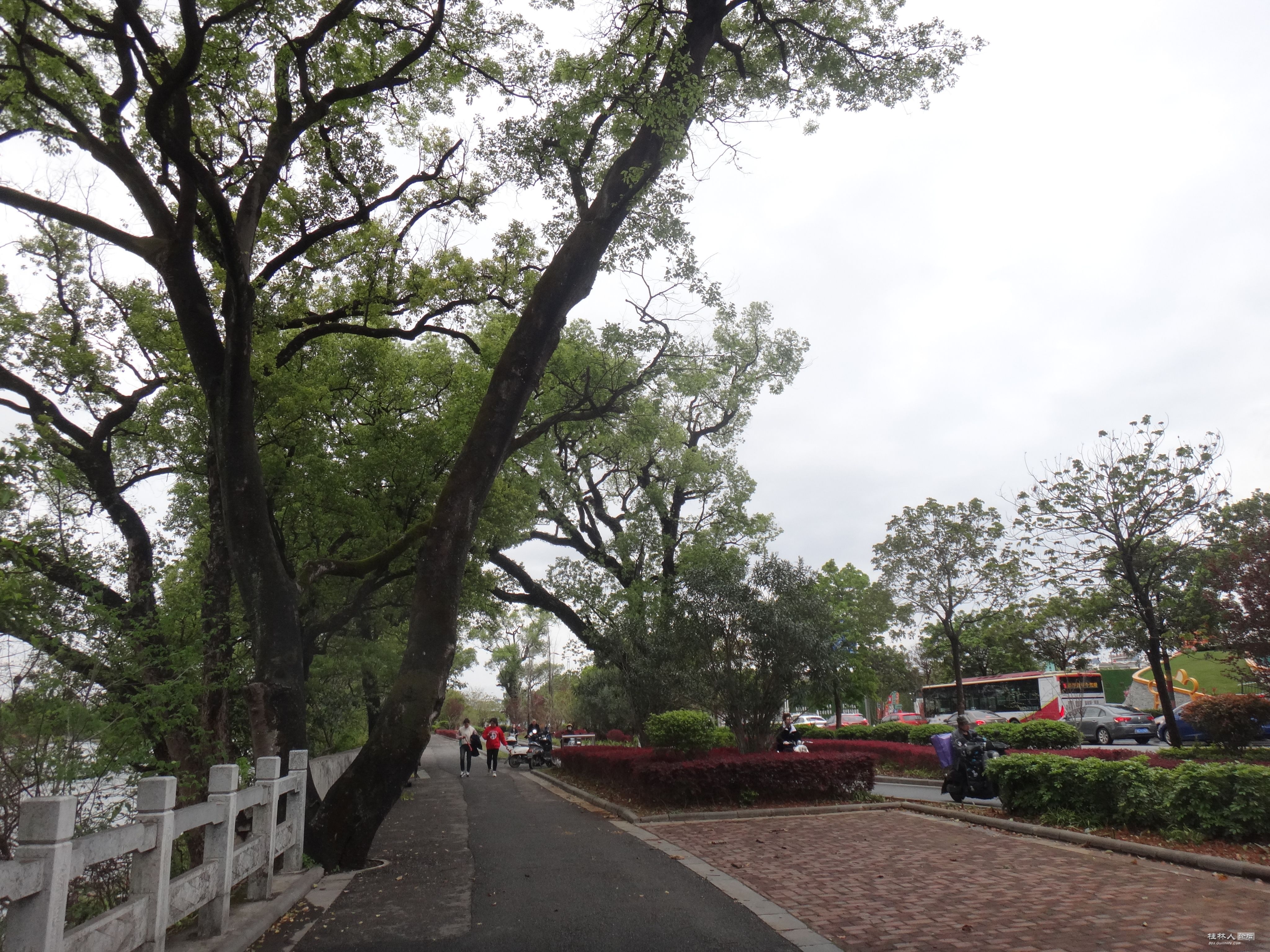 DSC04086.JPG