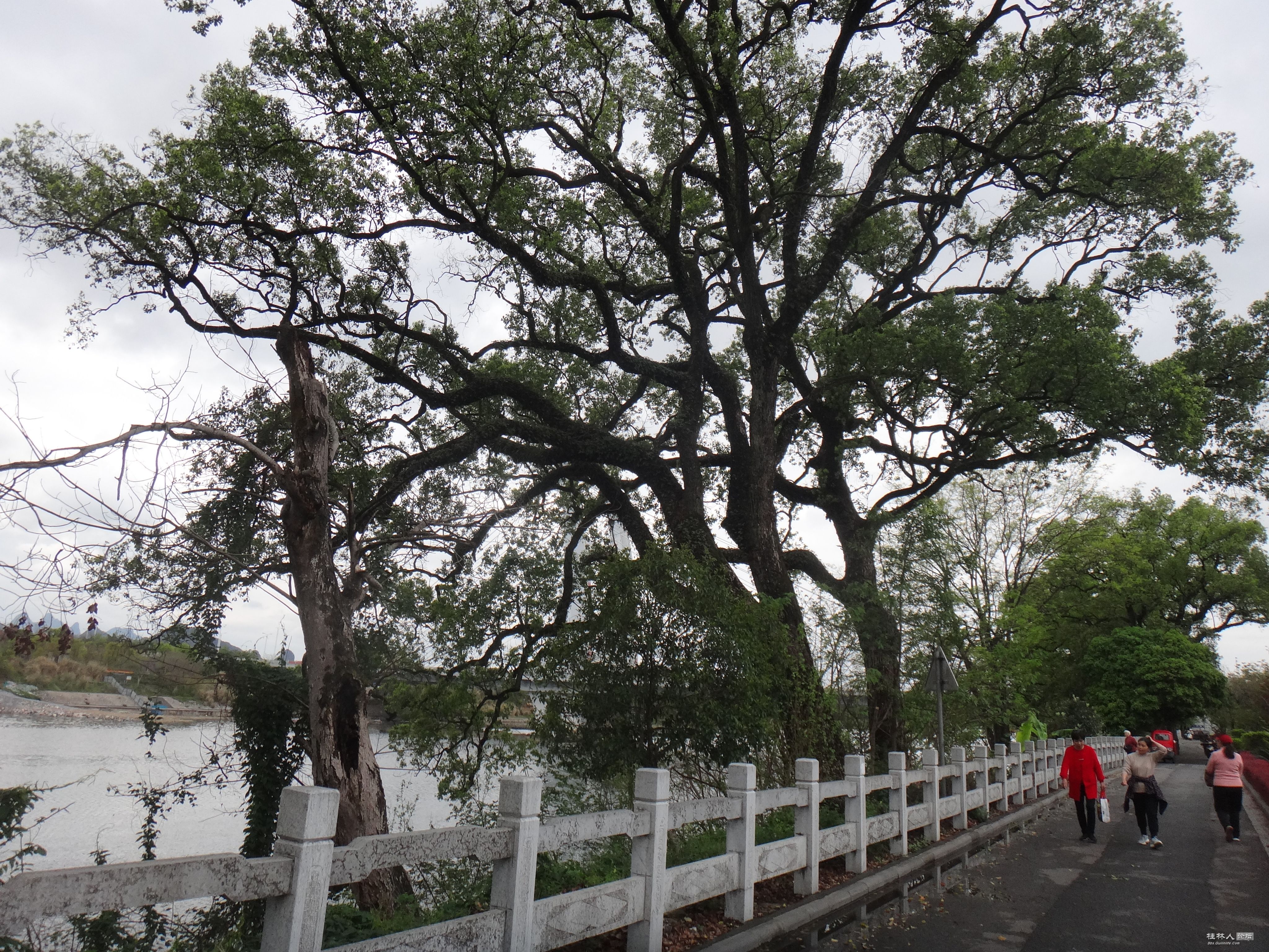 DSC04087.JPG