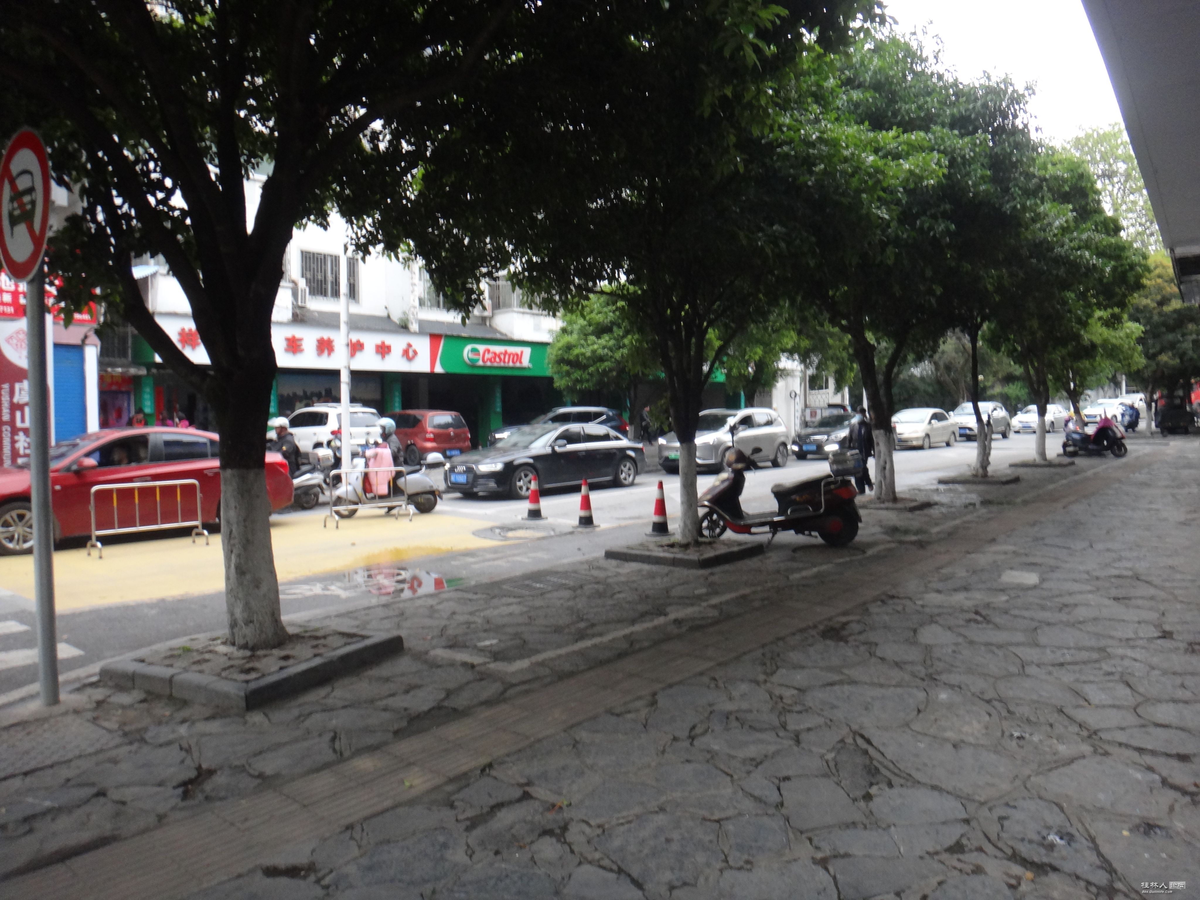 DSC04098.JPG