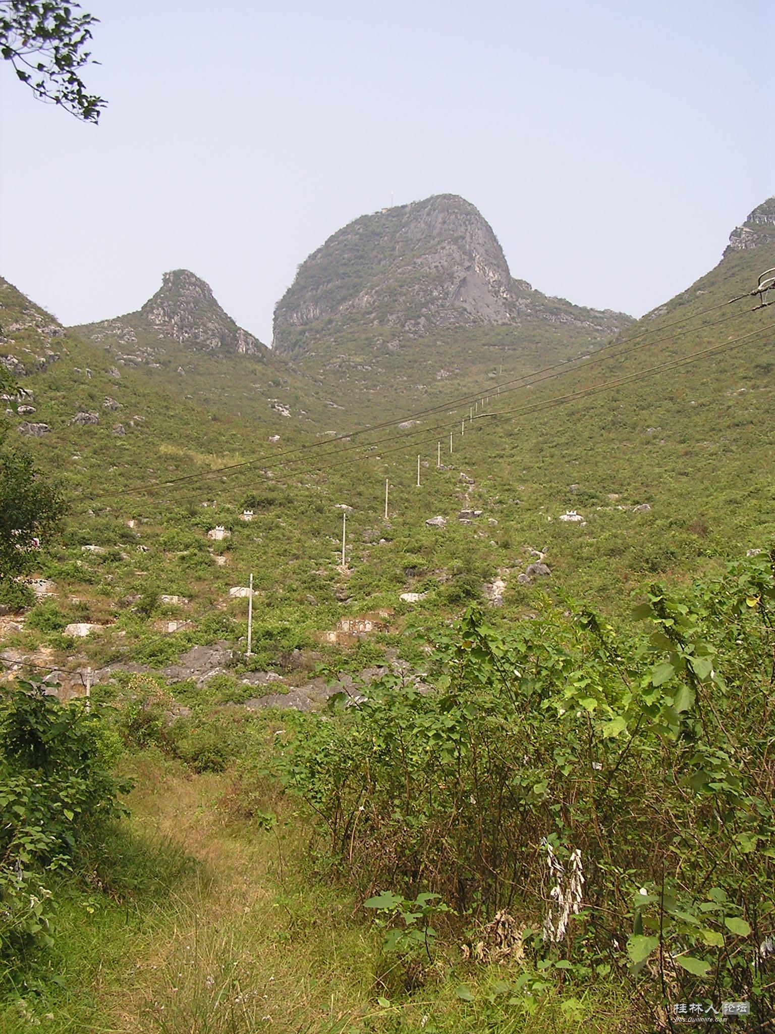 P1010003.jpg