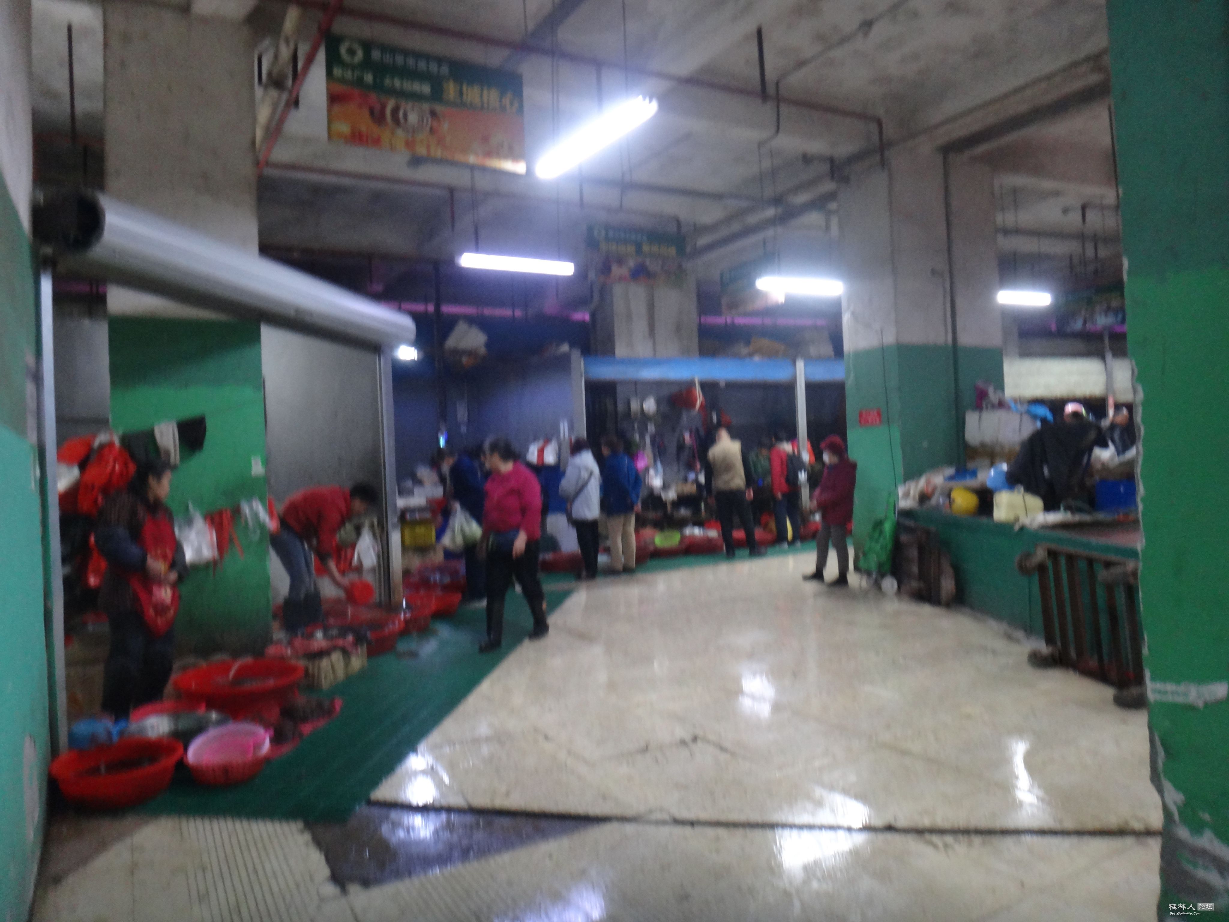 DSC04146.JPG