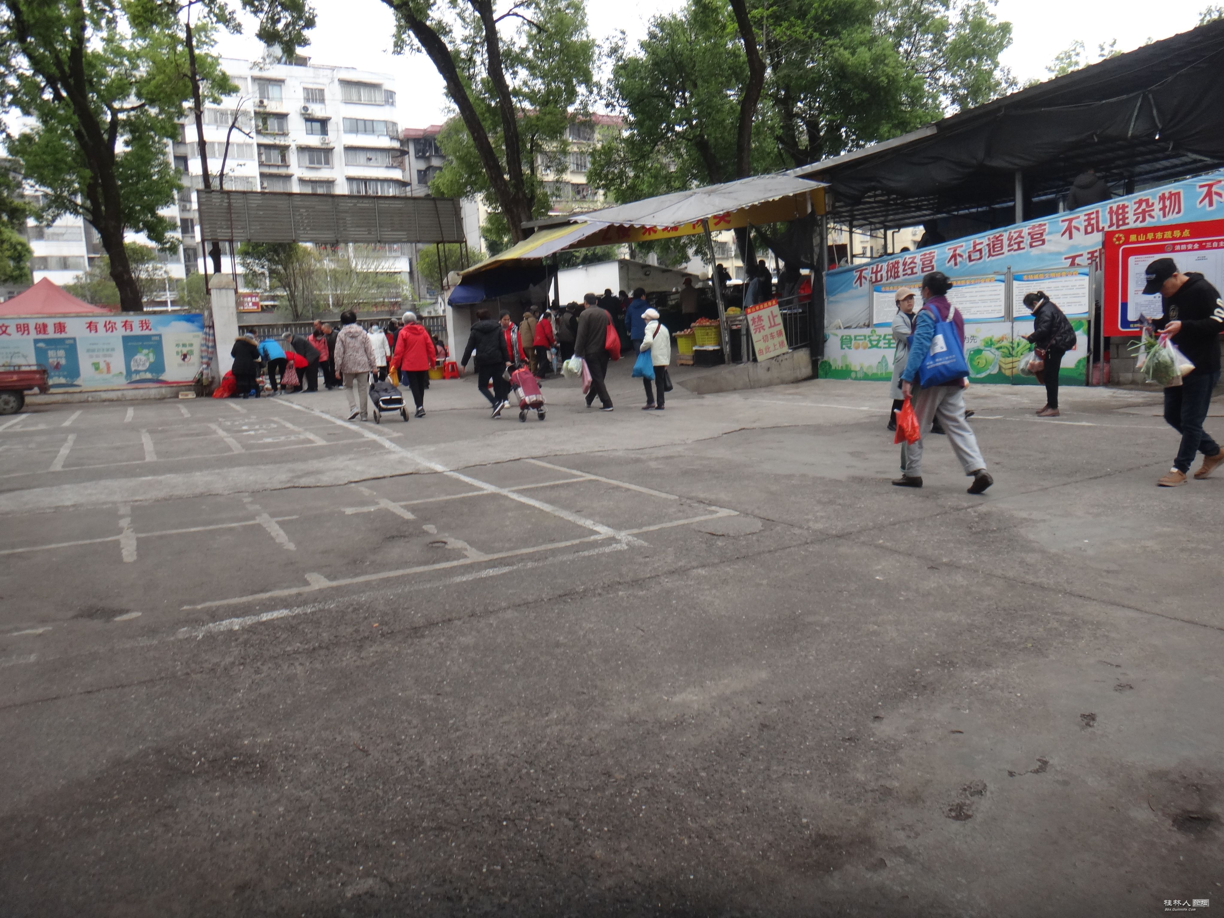 DSC04156.JPG