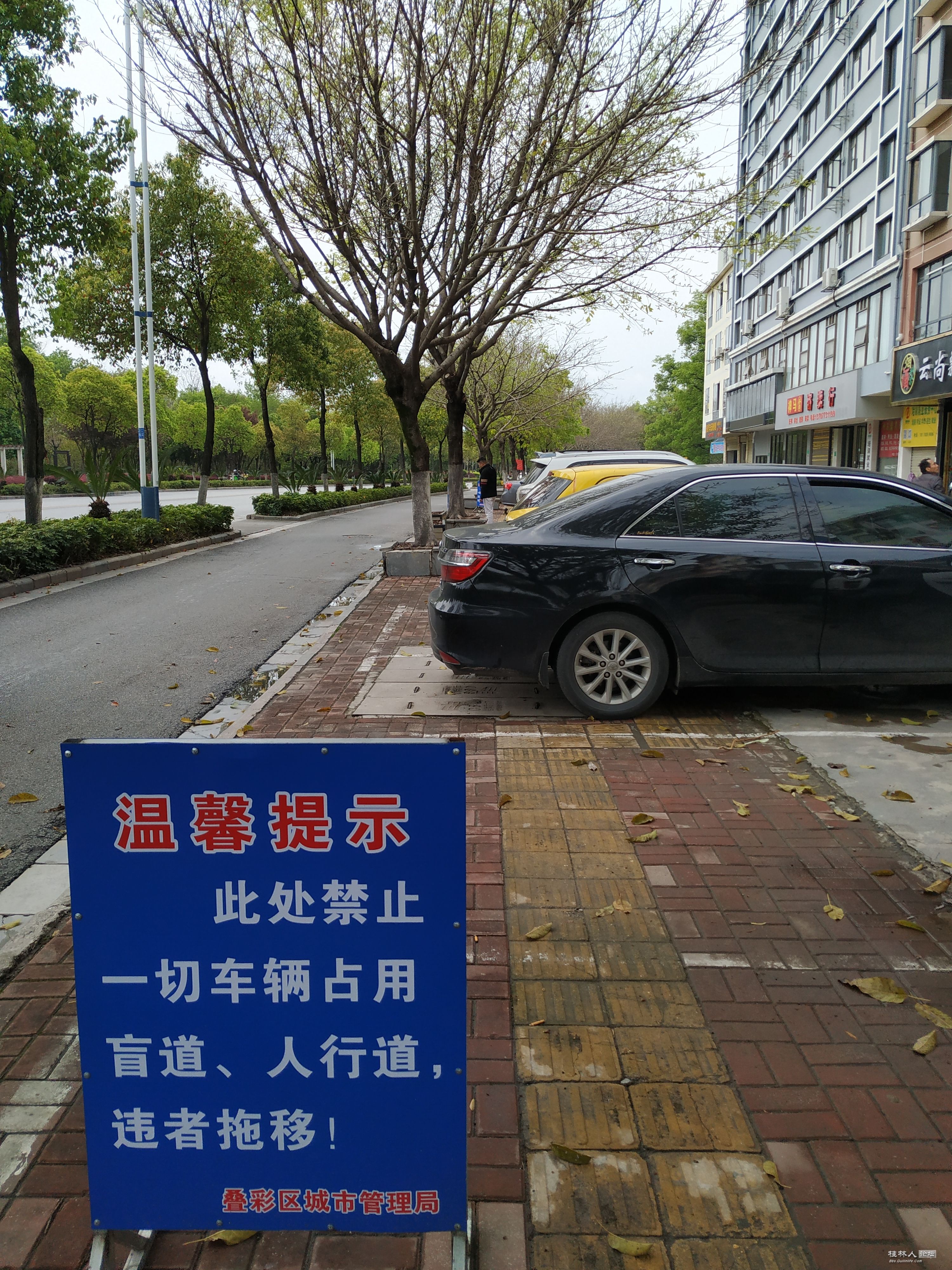 IMG_20230327_114659.jpg