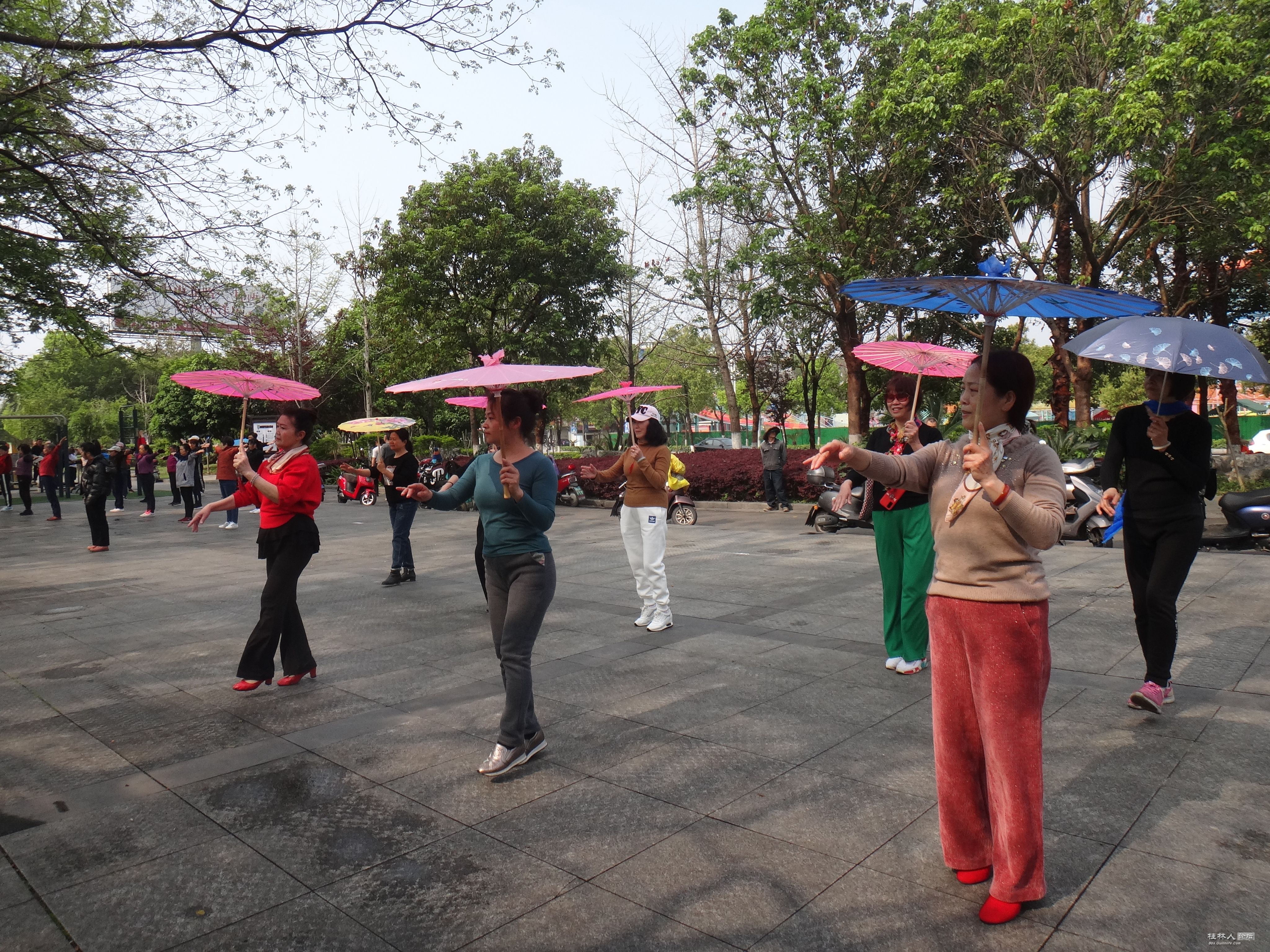 DSC04170.JPG
