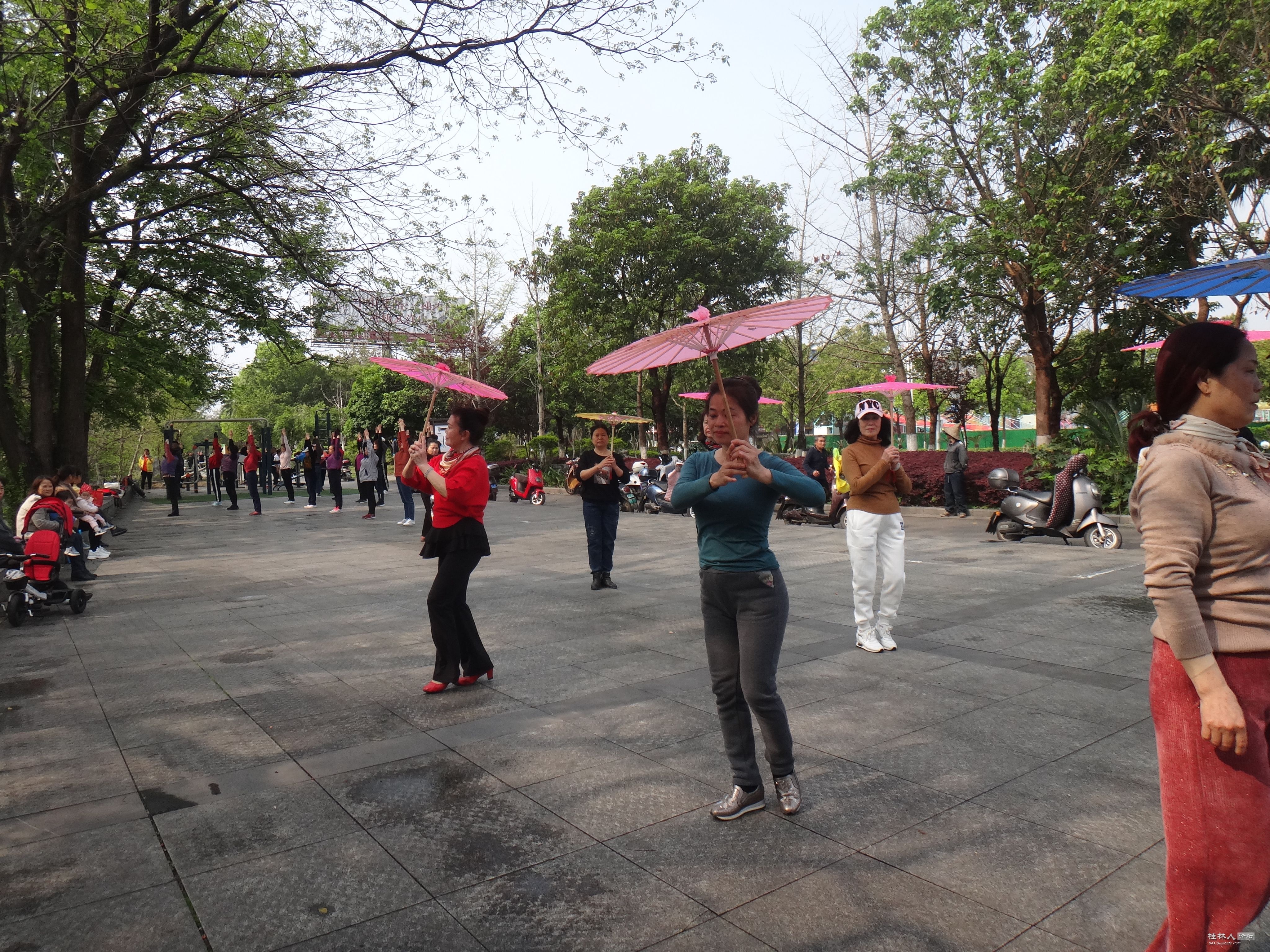 DSC04171.JPG