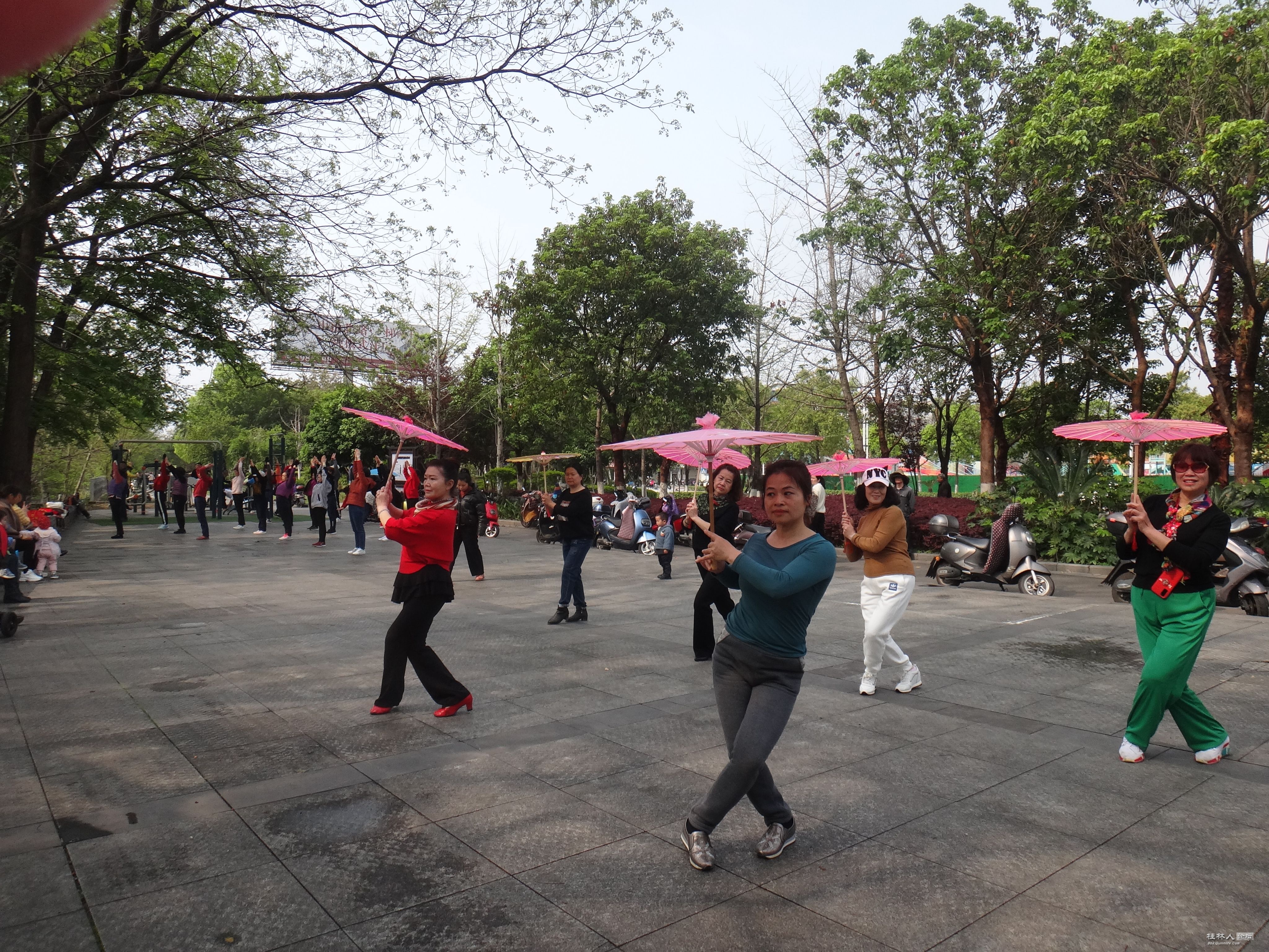 DSC04173.JPG
