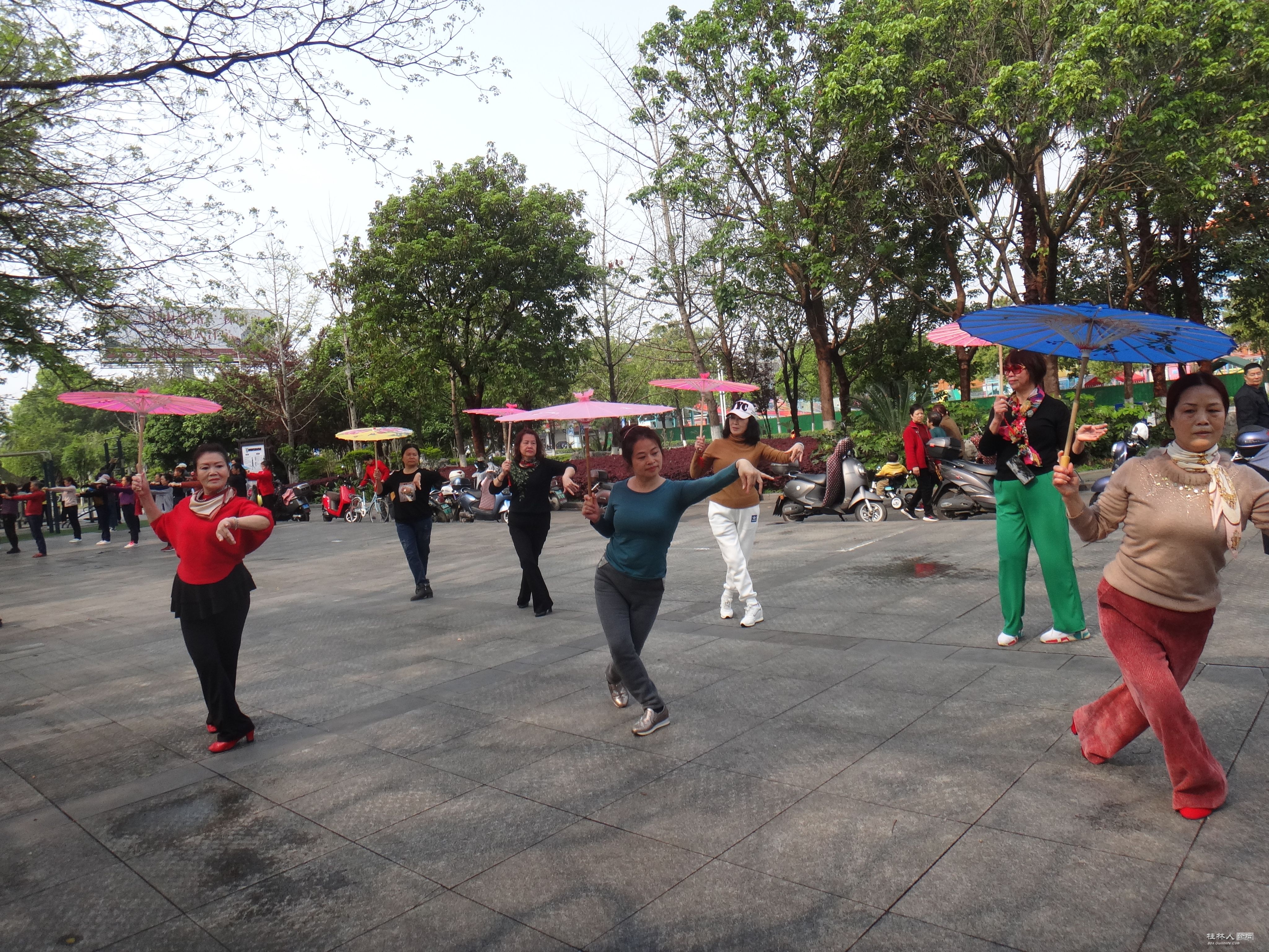 DSC04176.JPG