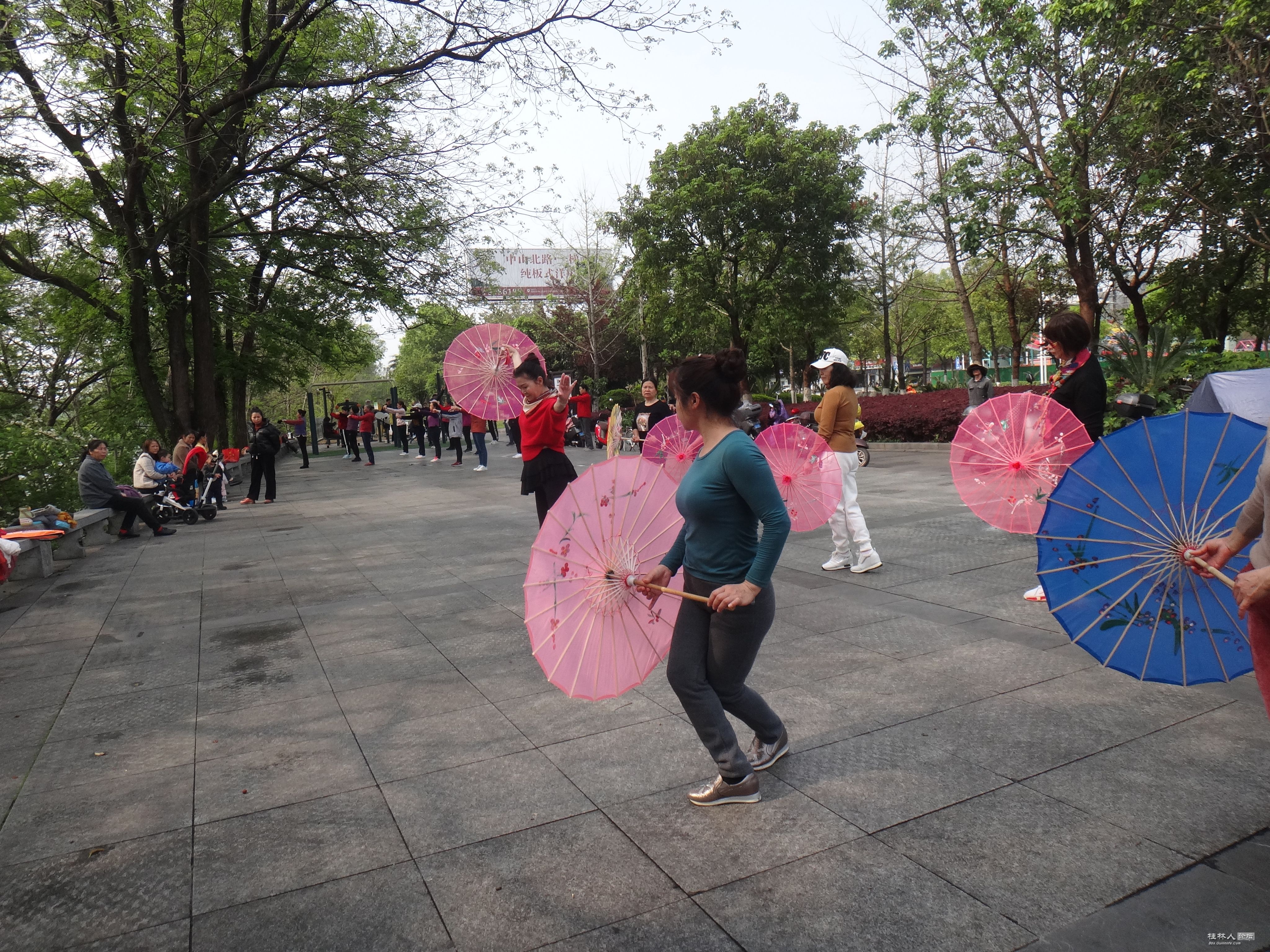 DSC04178.JPG