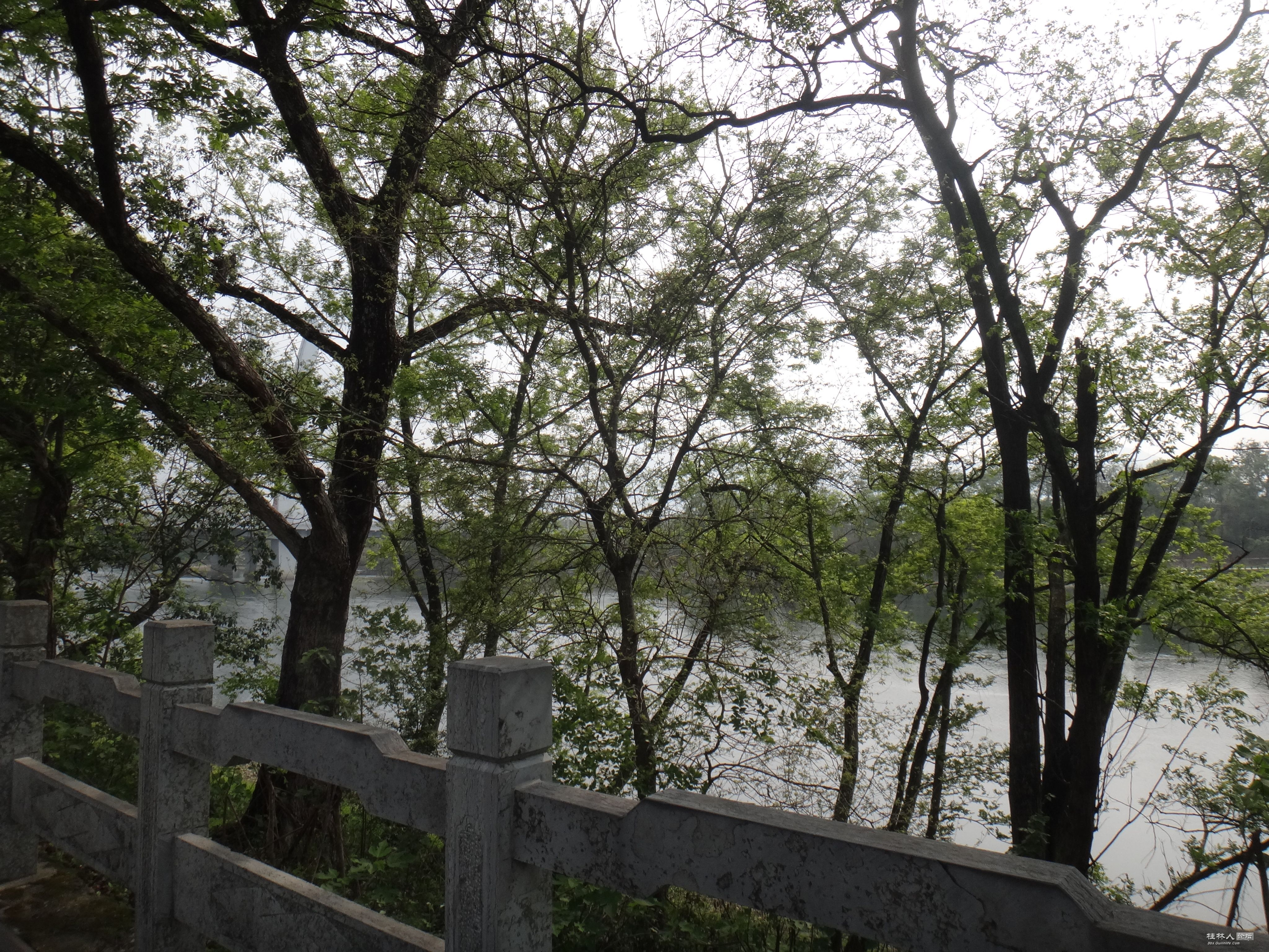 DSC04181.JPG