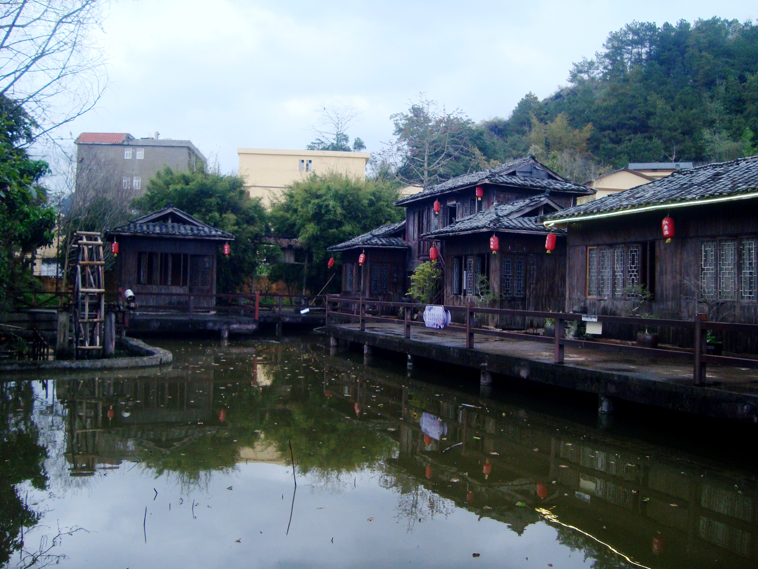 DSC01733.JPG