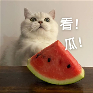 Թ.jpg