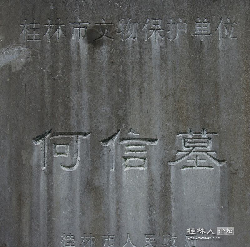 DSC05639.jpg