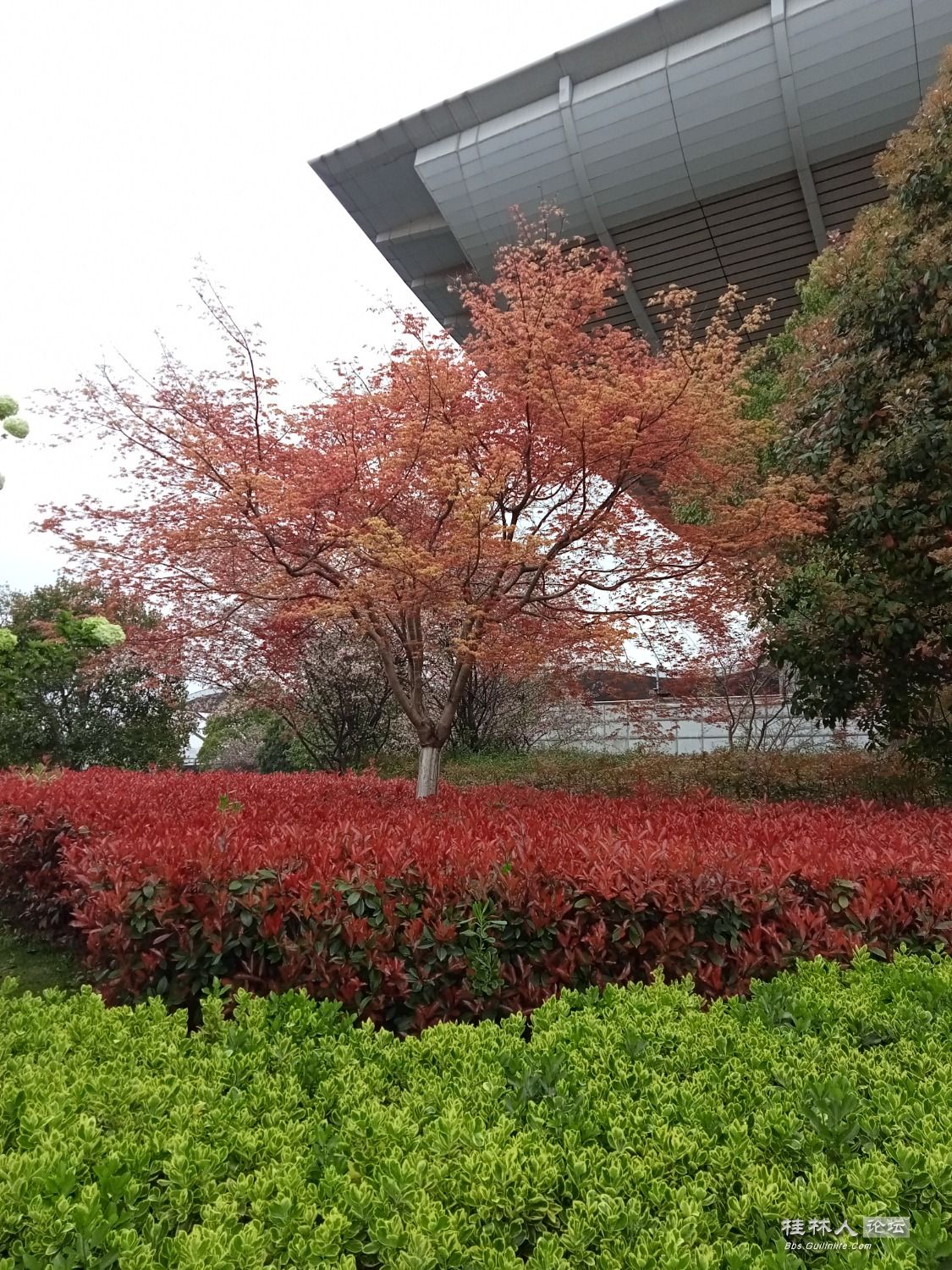 IMG20230320120445.jpg