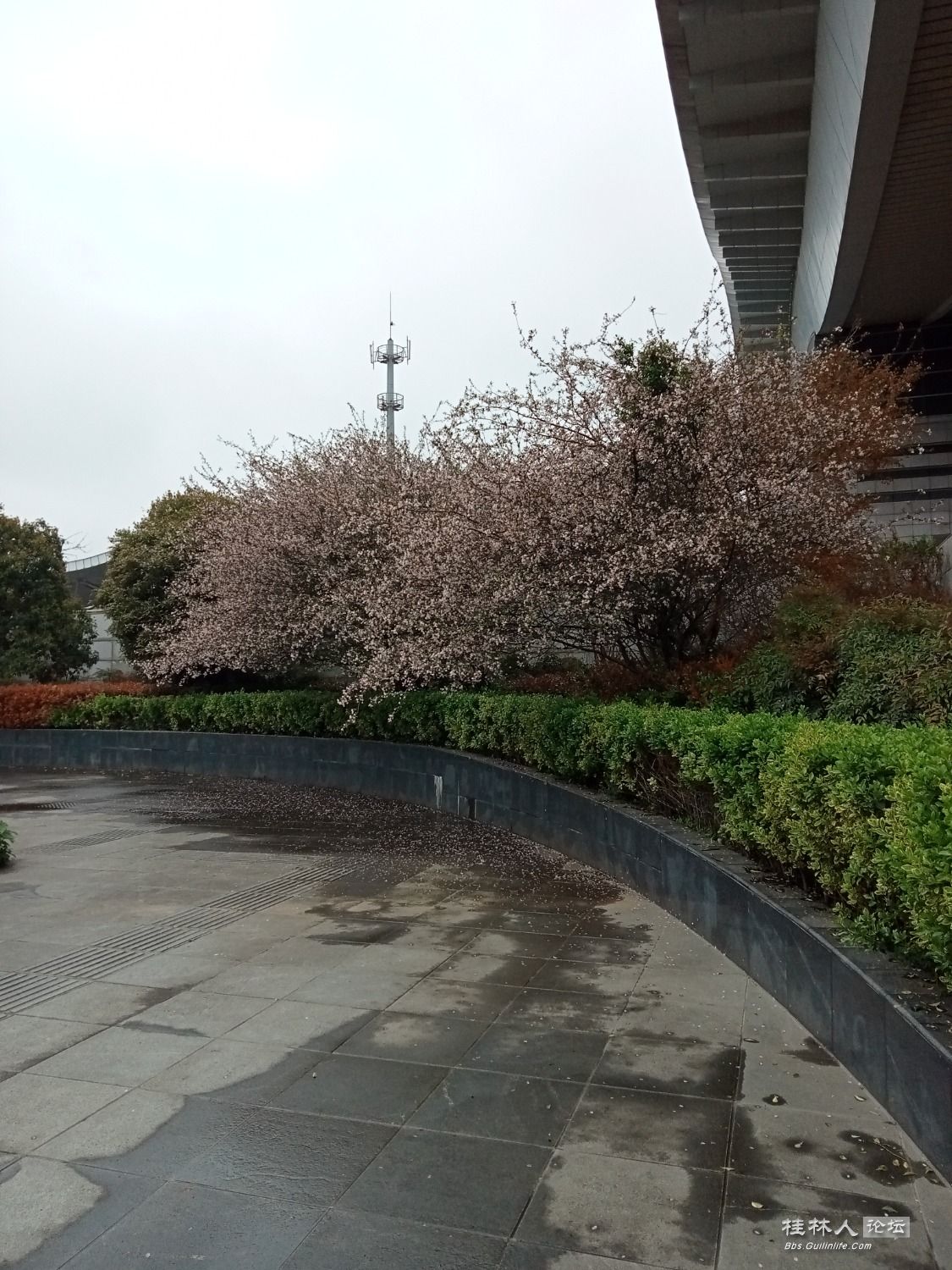 IMG20230320120105.jpg