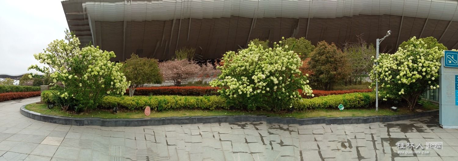 IMG20230320115850.jpg