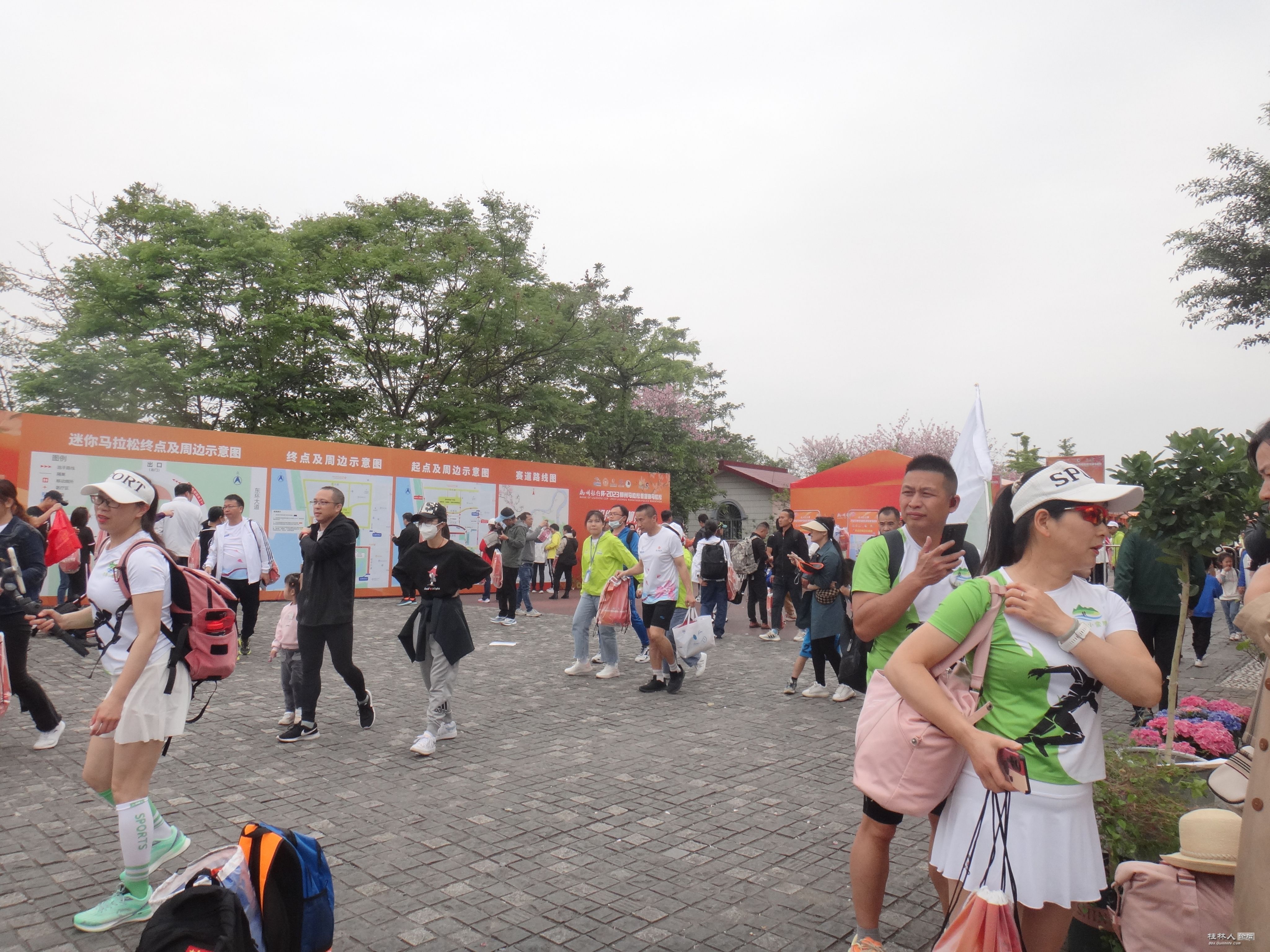 DSC04294.JPG