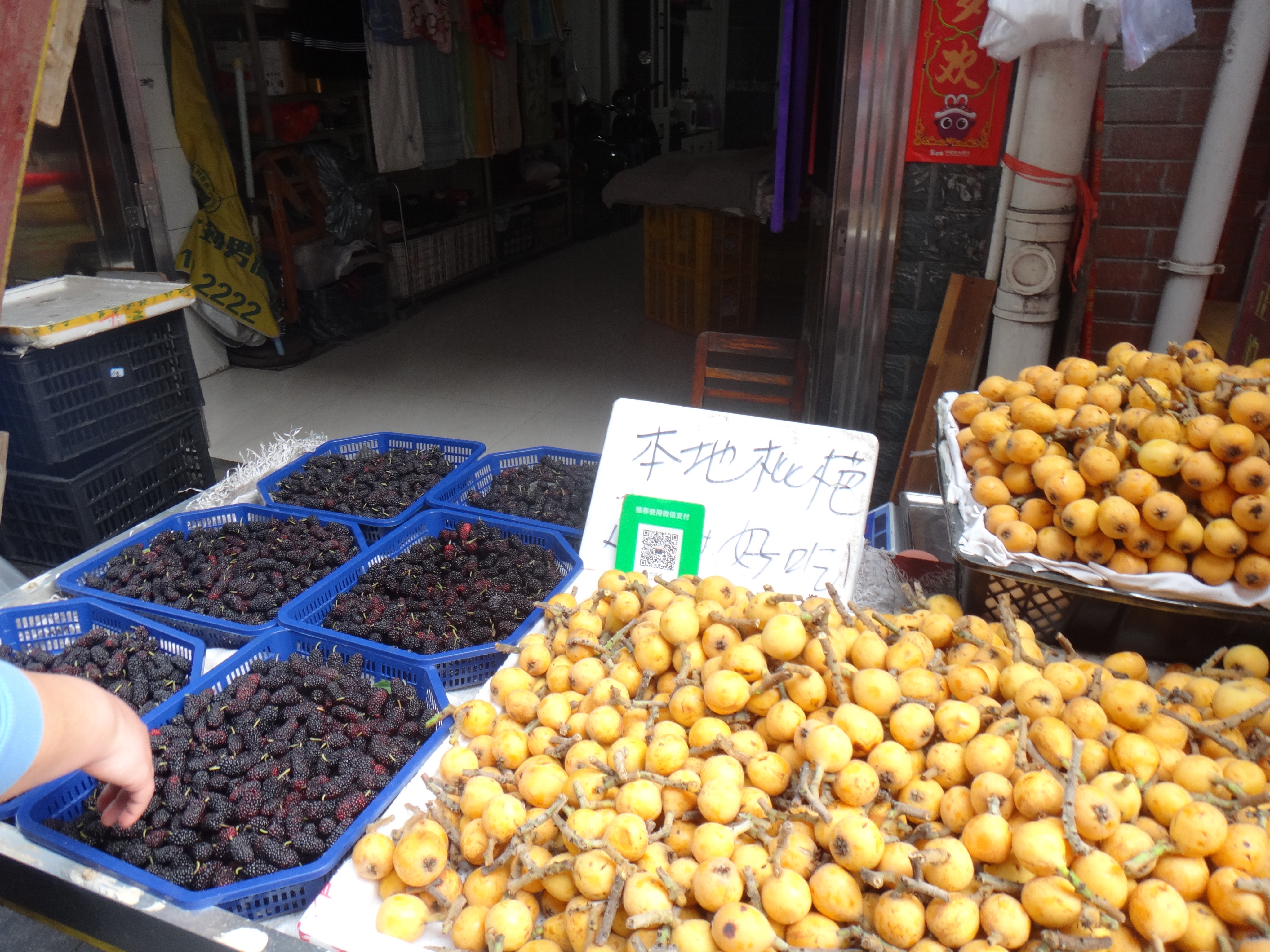 DSC04260.JPG