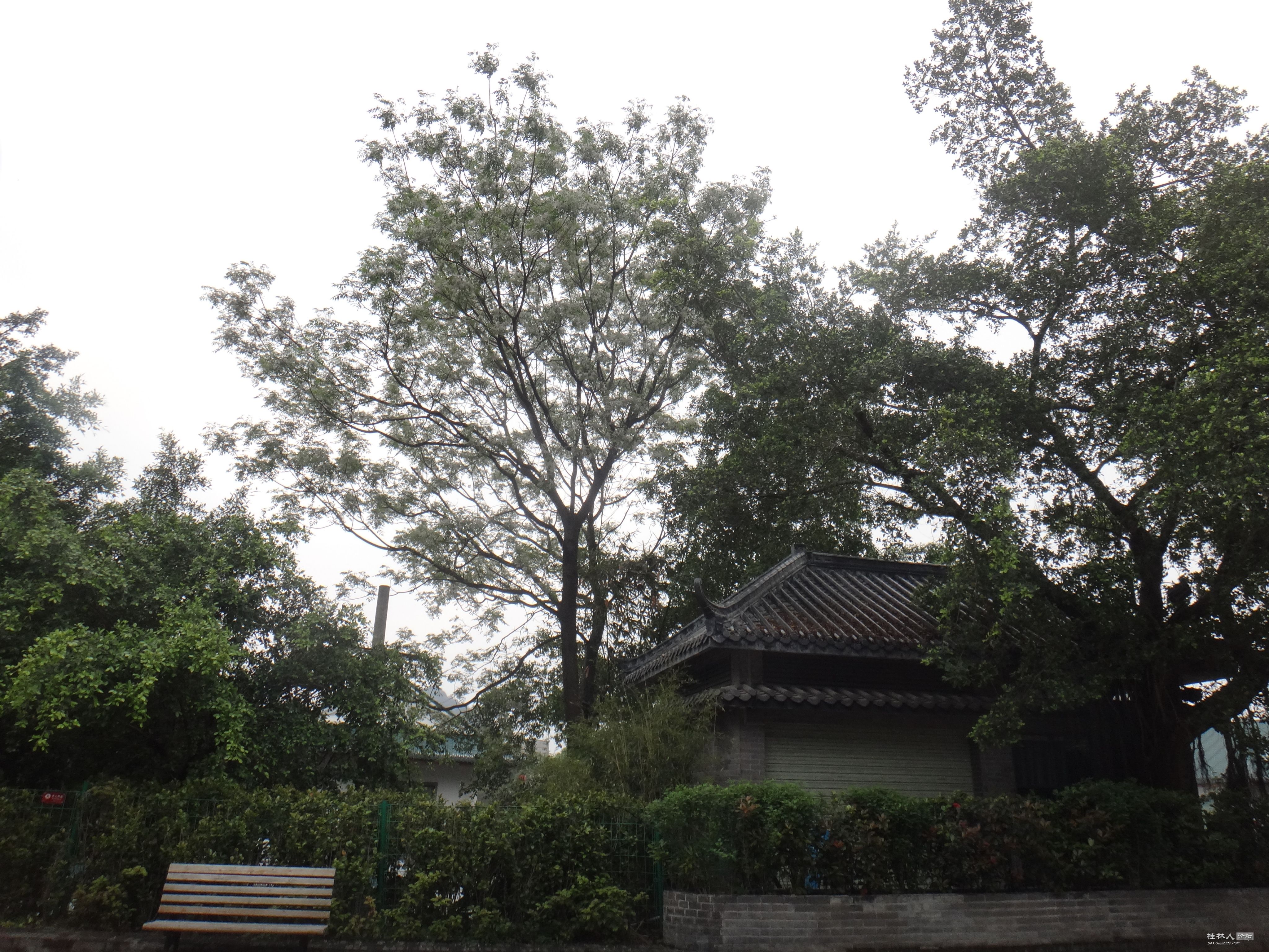 DSC04359.JPG