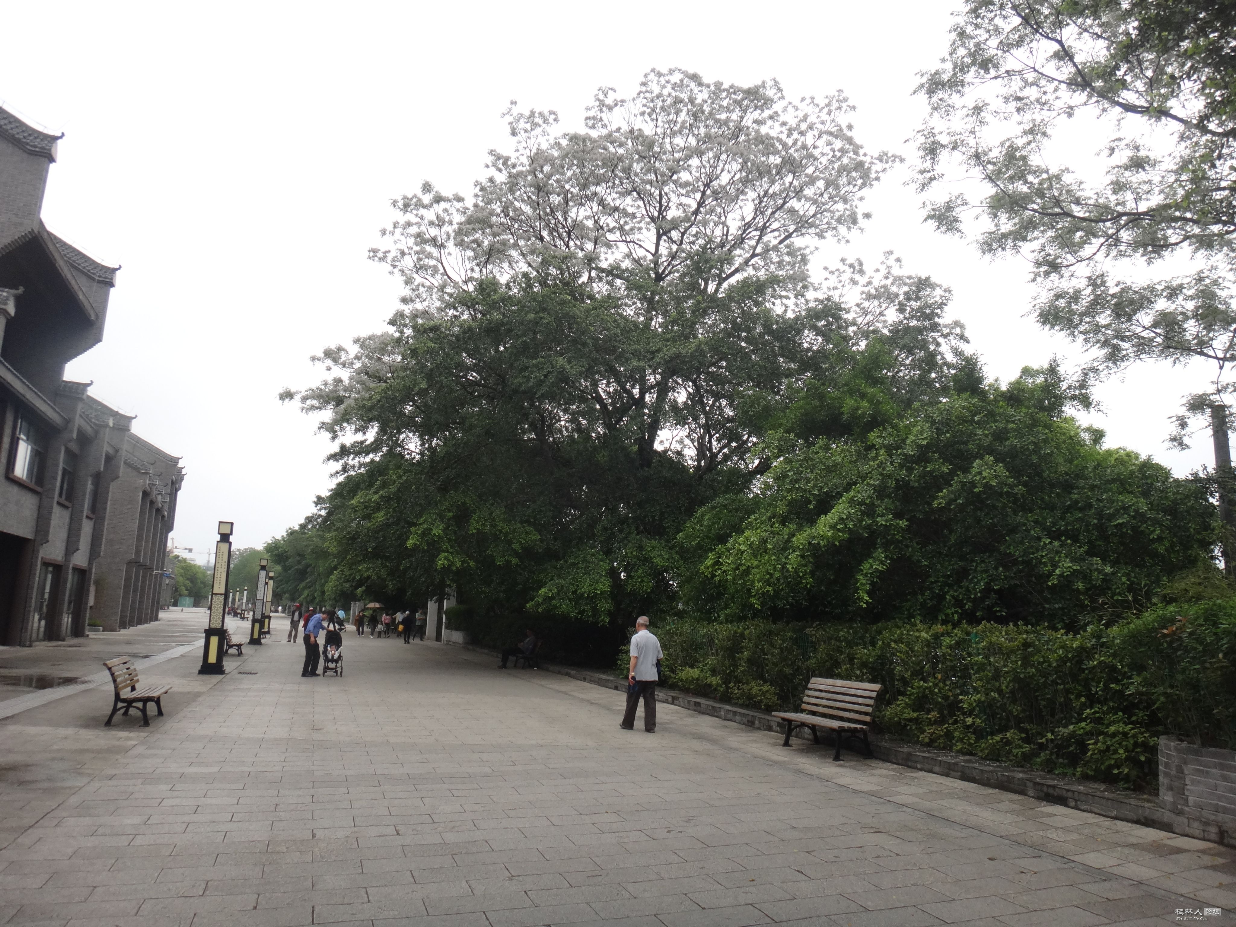 DSC04360.JPG
