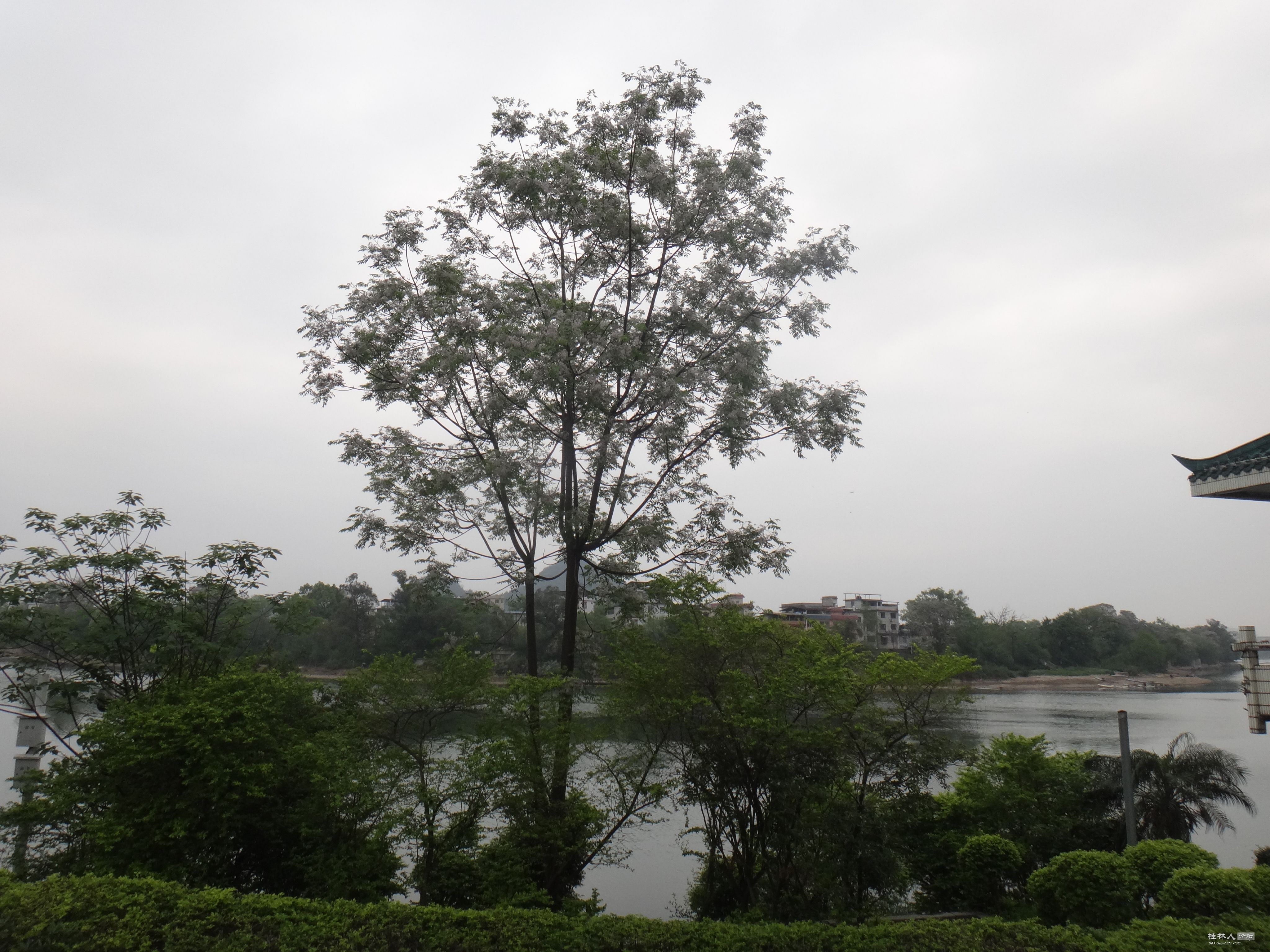 DSC04363.JPG