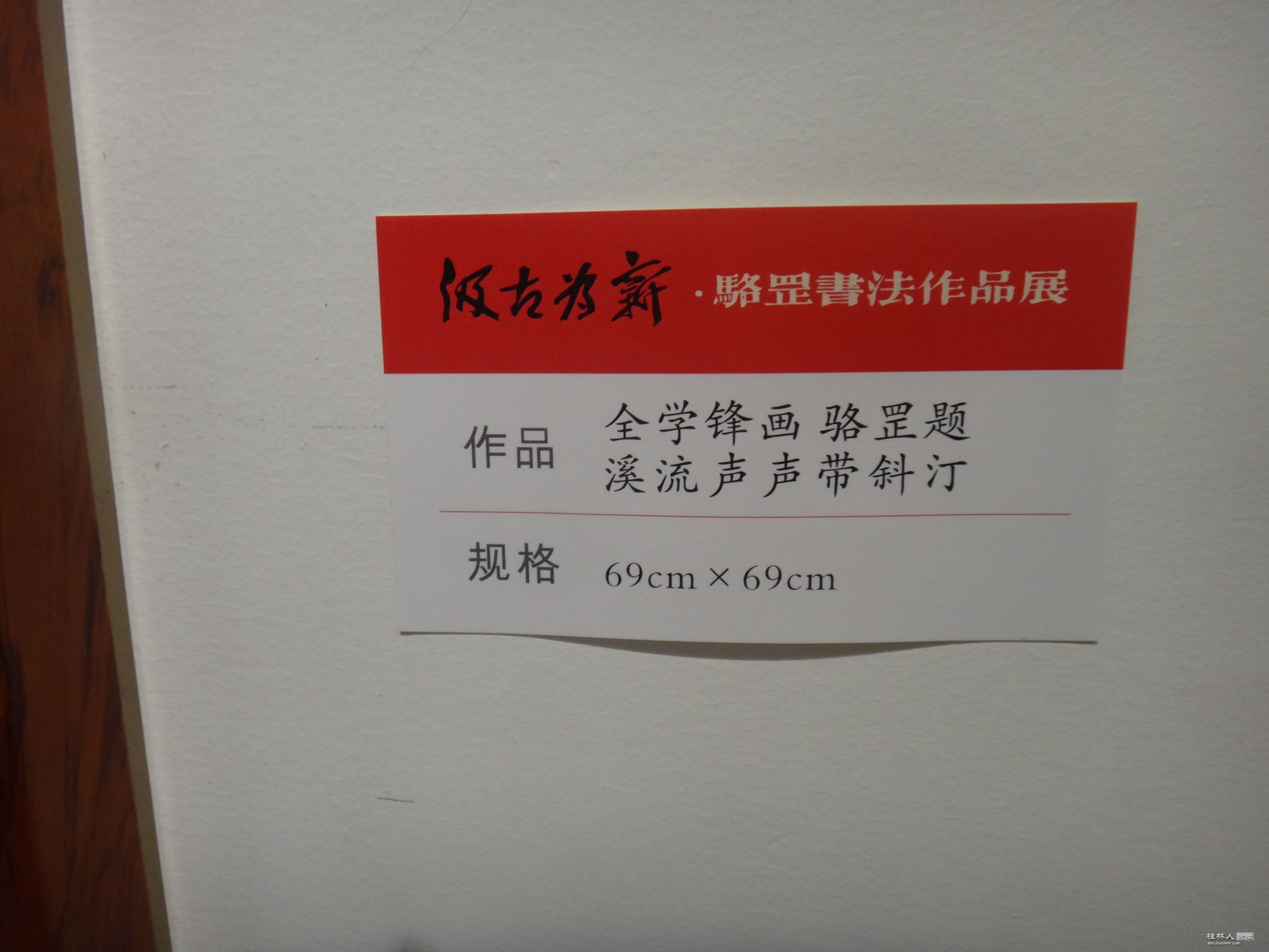 DSC04378.JPG