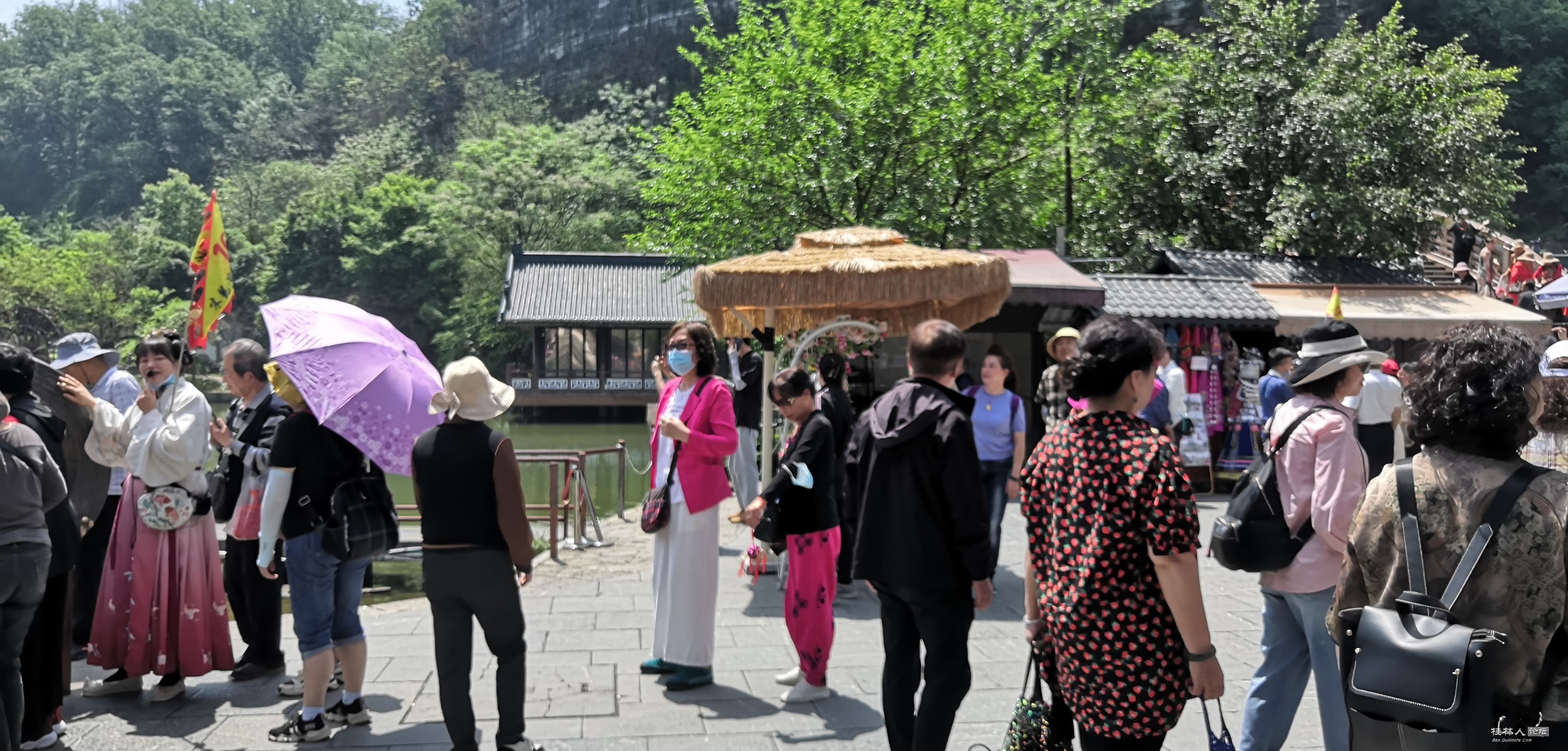 IMG_20230416_113613.jpg