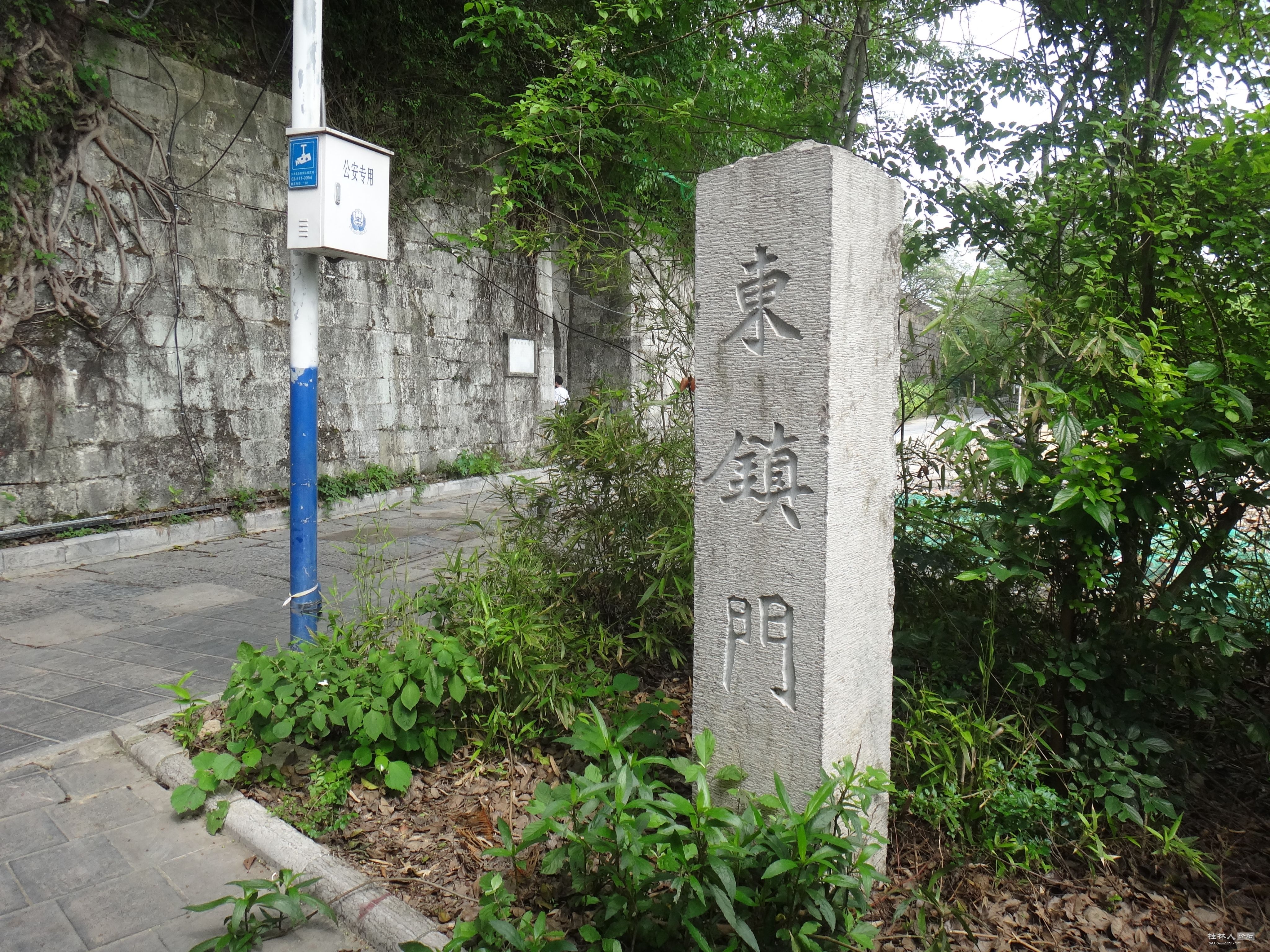 DSC04458.JPG