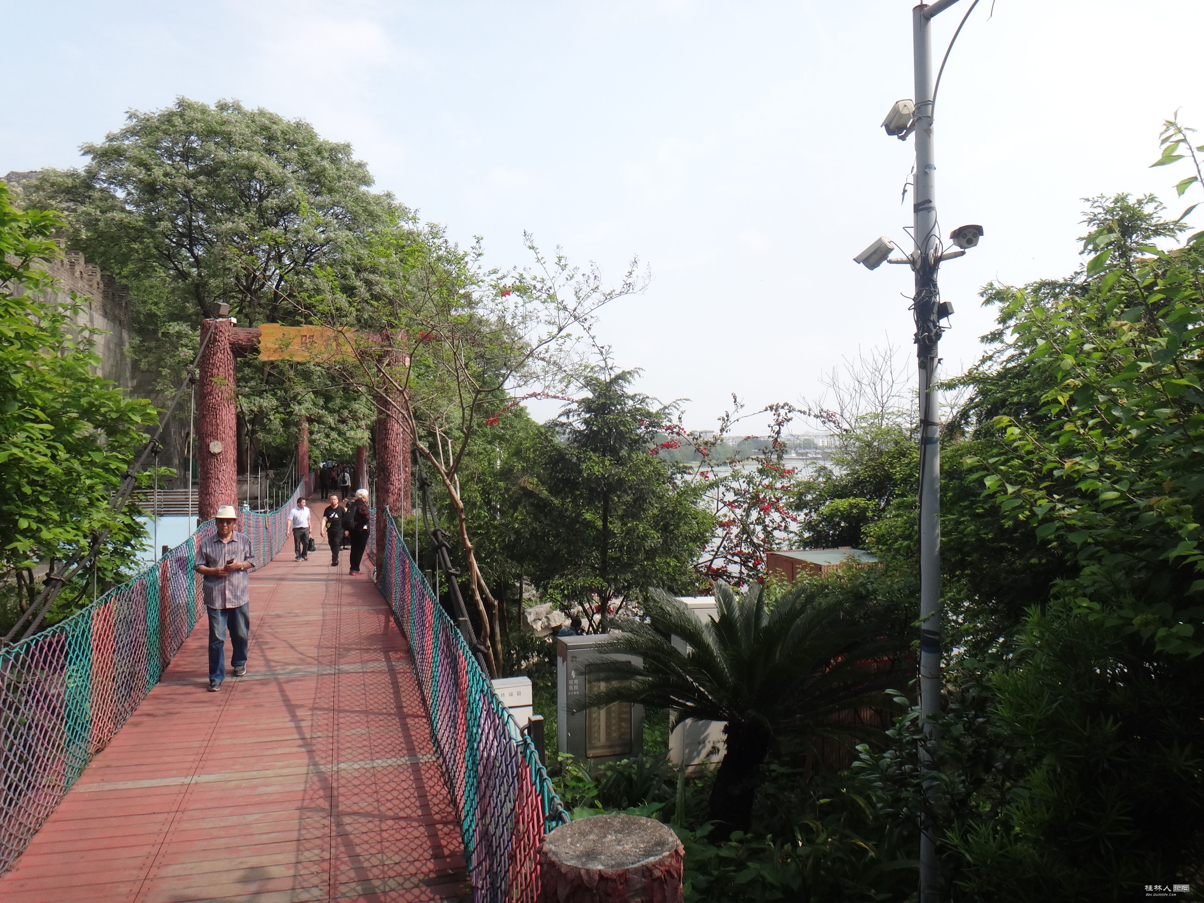 DSC04445.JPG