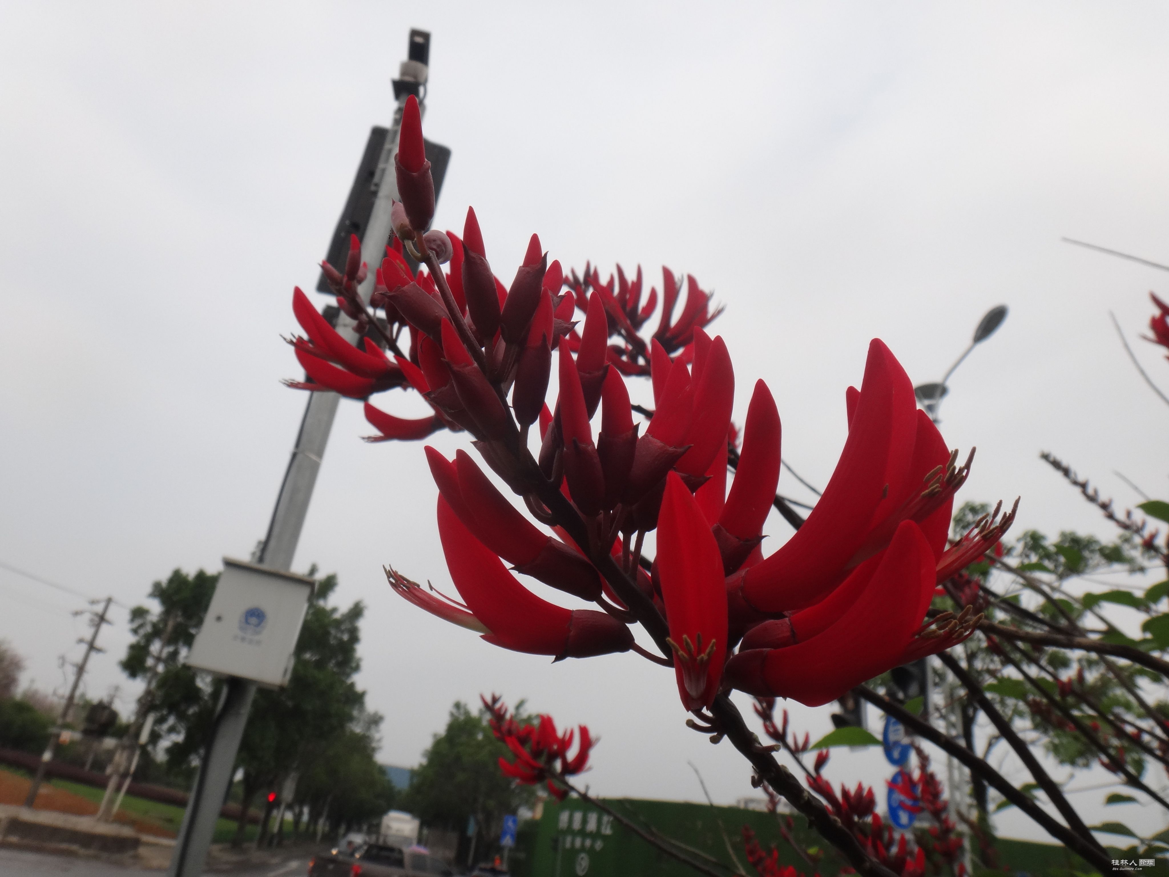 DSC04484.JPG