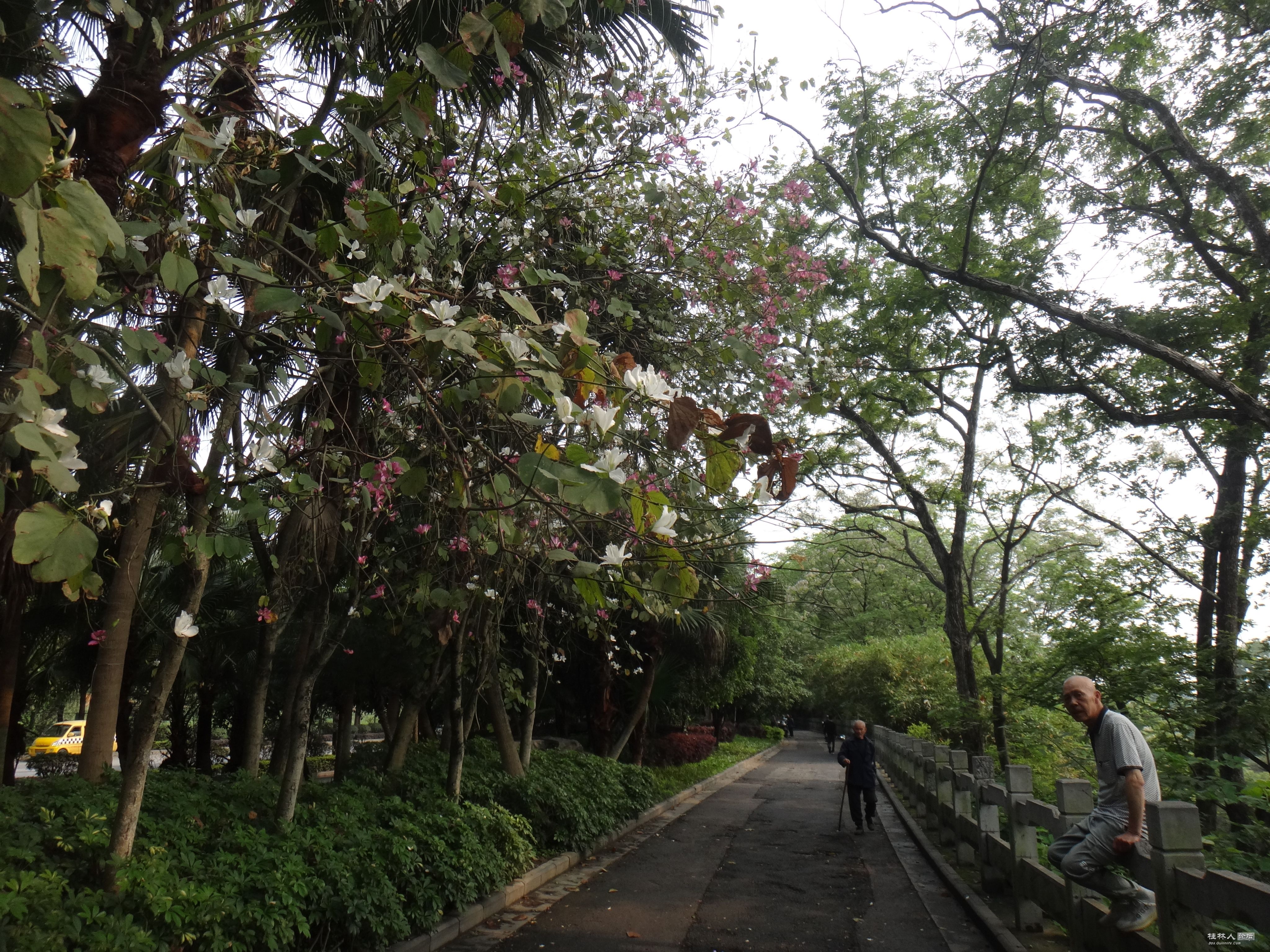 DSC04472.JPG