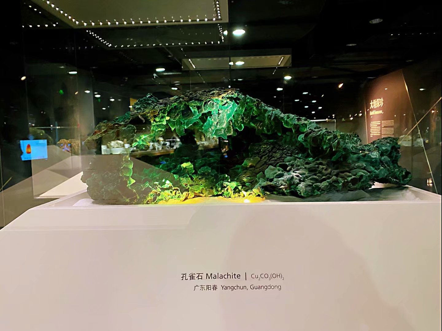 (38).jpg