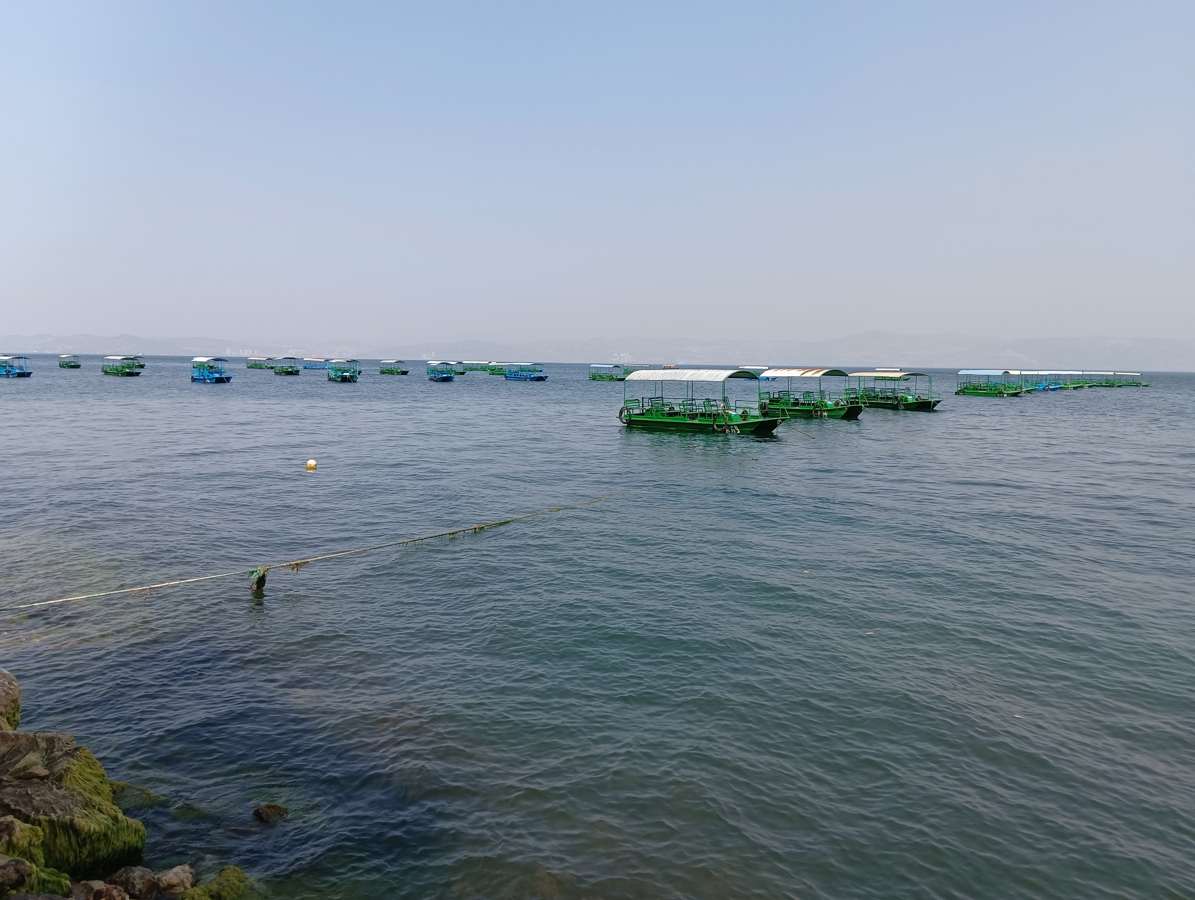 IMG_20230412_160159.jpg