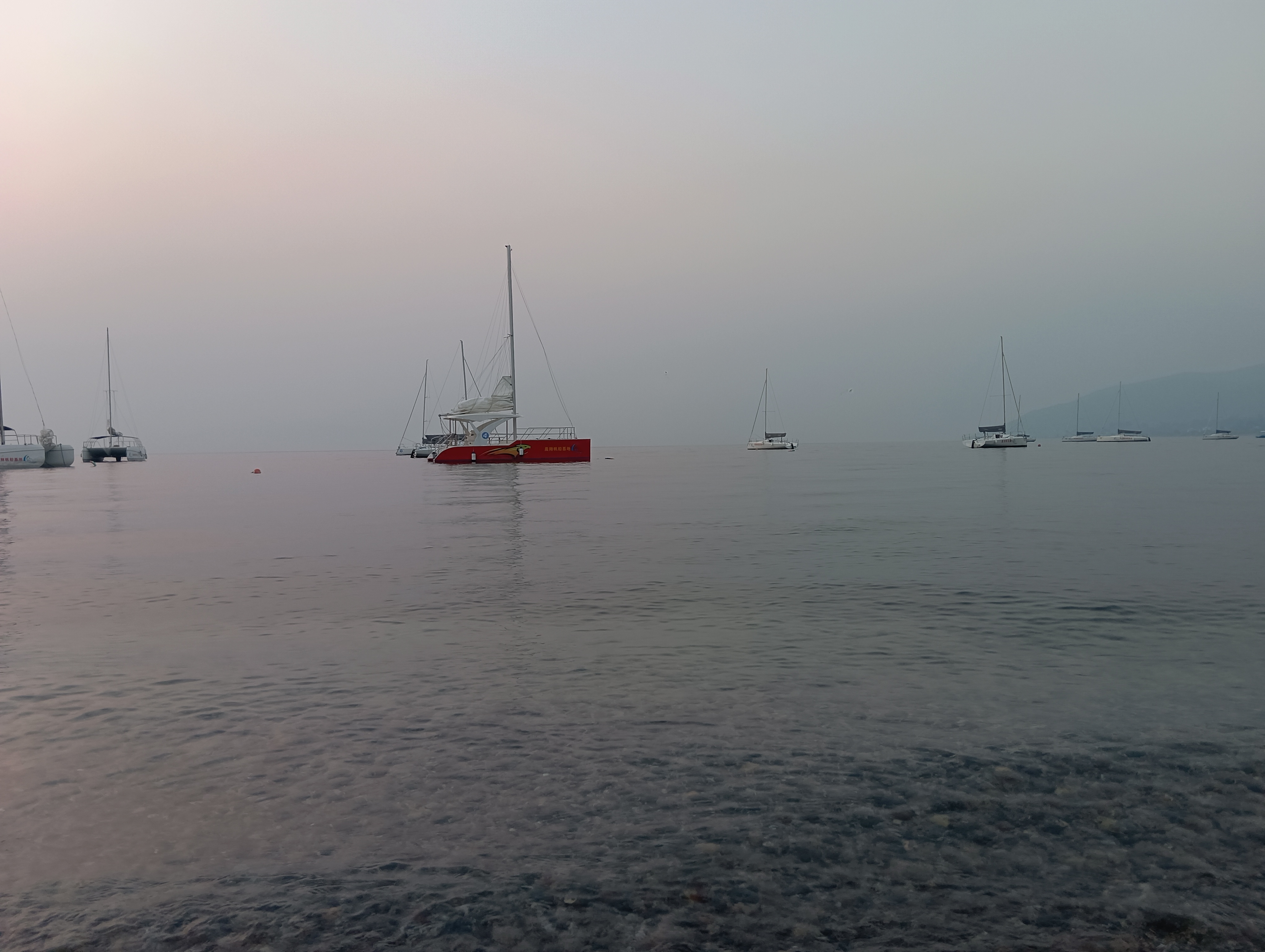 IMG_20230413_065336.jpg