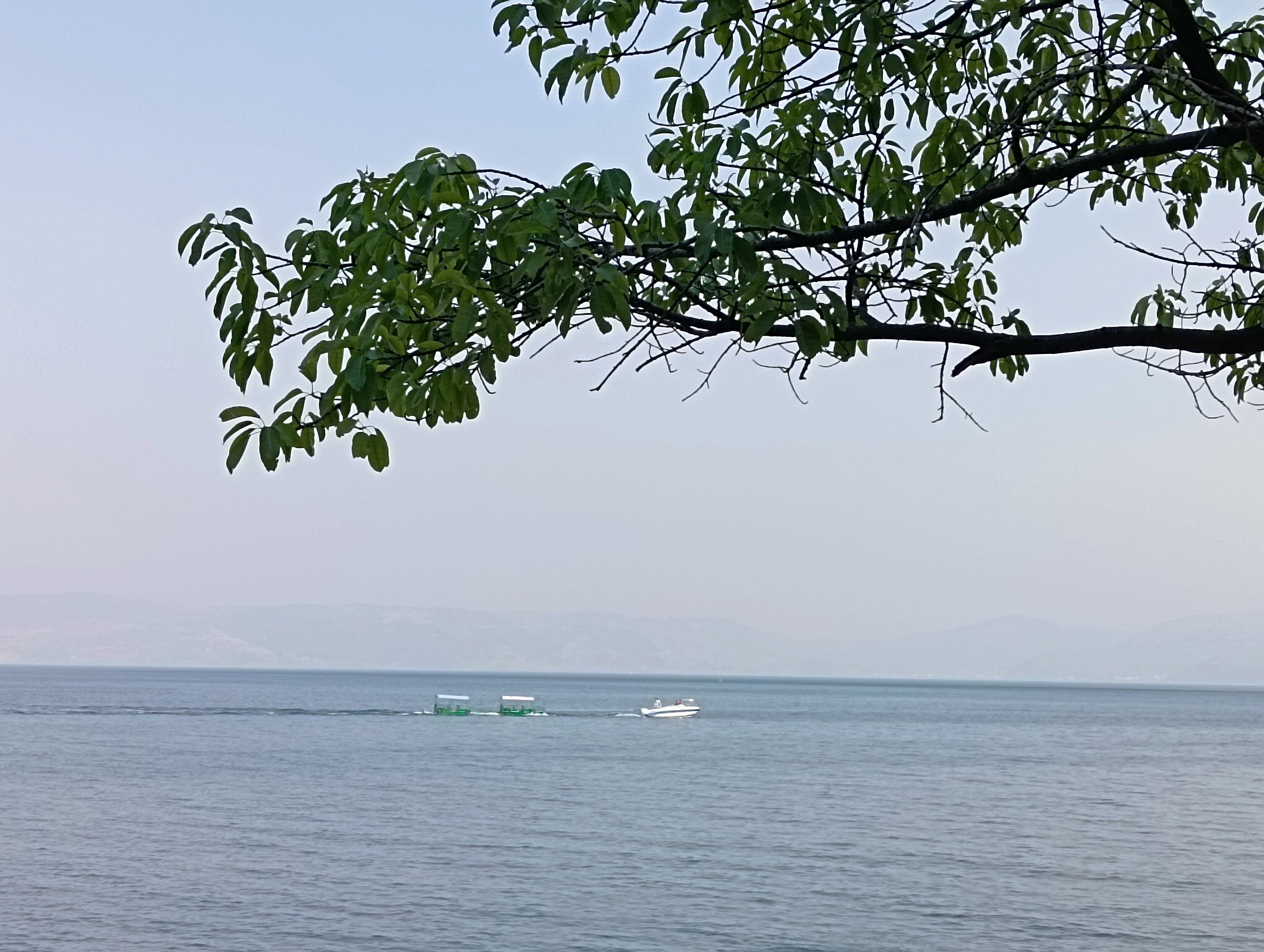 IMG_20230412_161838.jpg