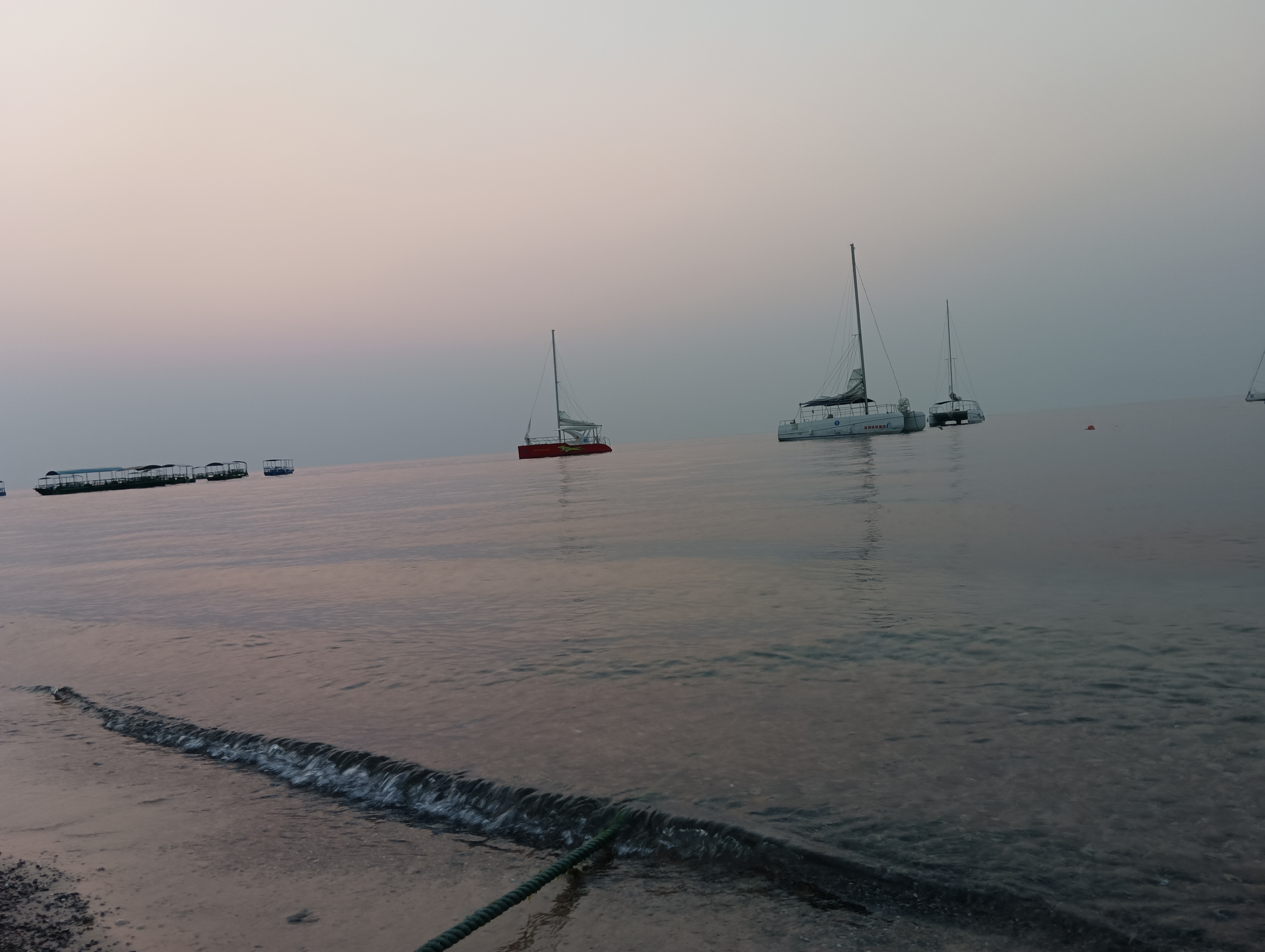 IMG_20230413_065359.jpg
