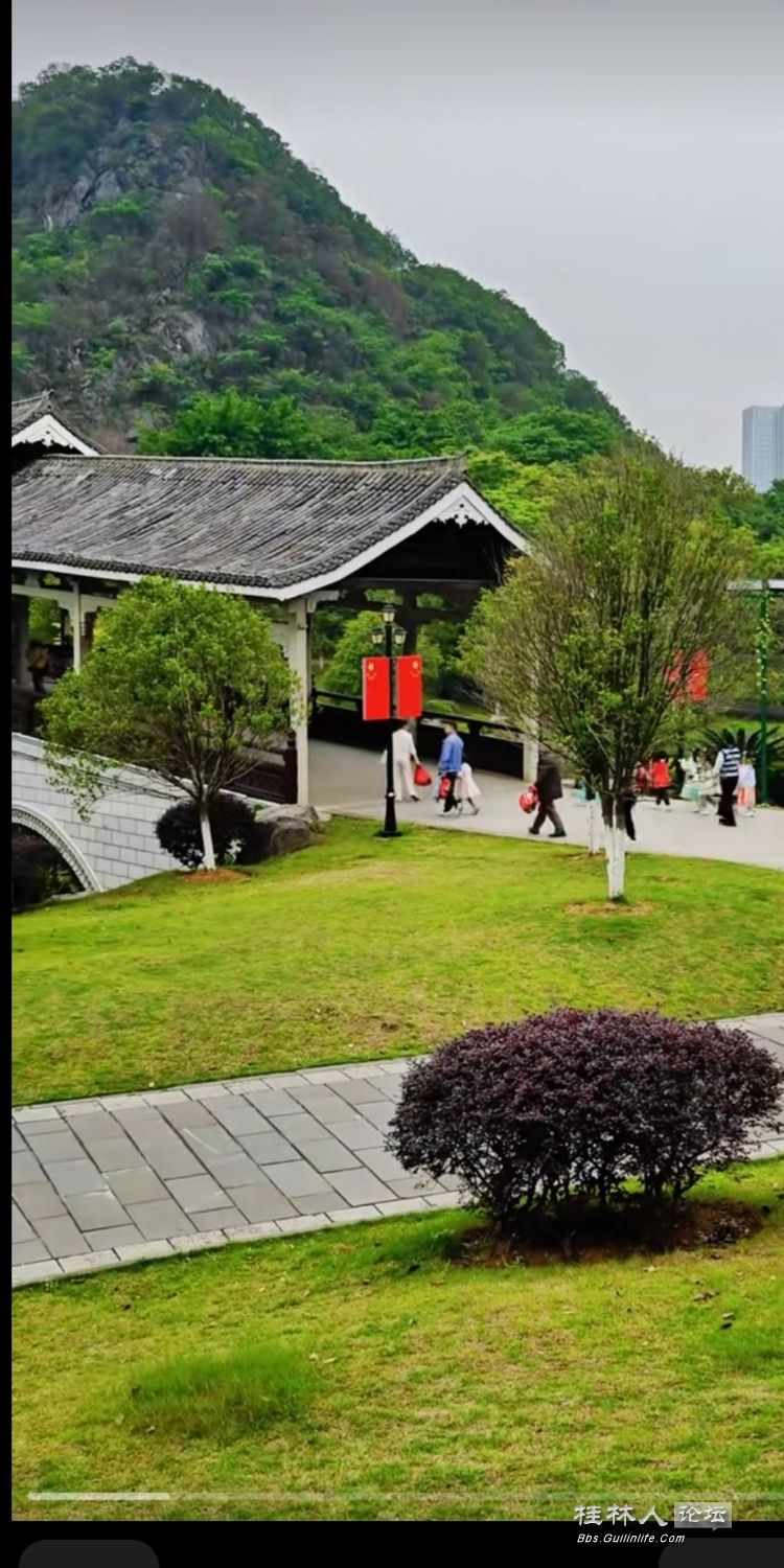 Screenshot_2023-04-28-08-56-57-533_com.miui.gallery.jpg