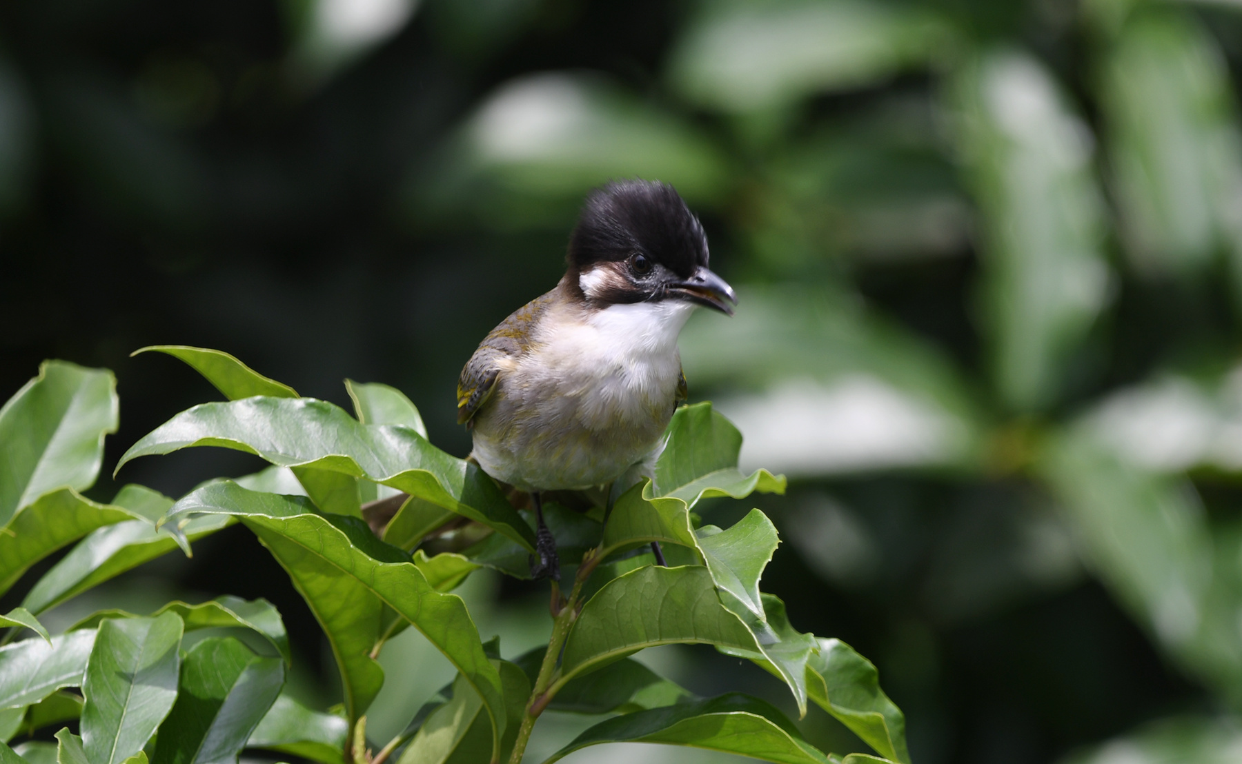 DSC_7747_.jpg