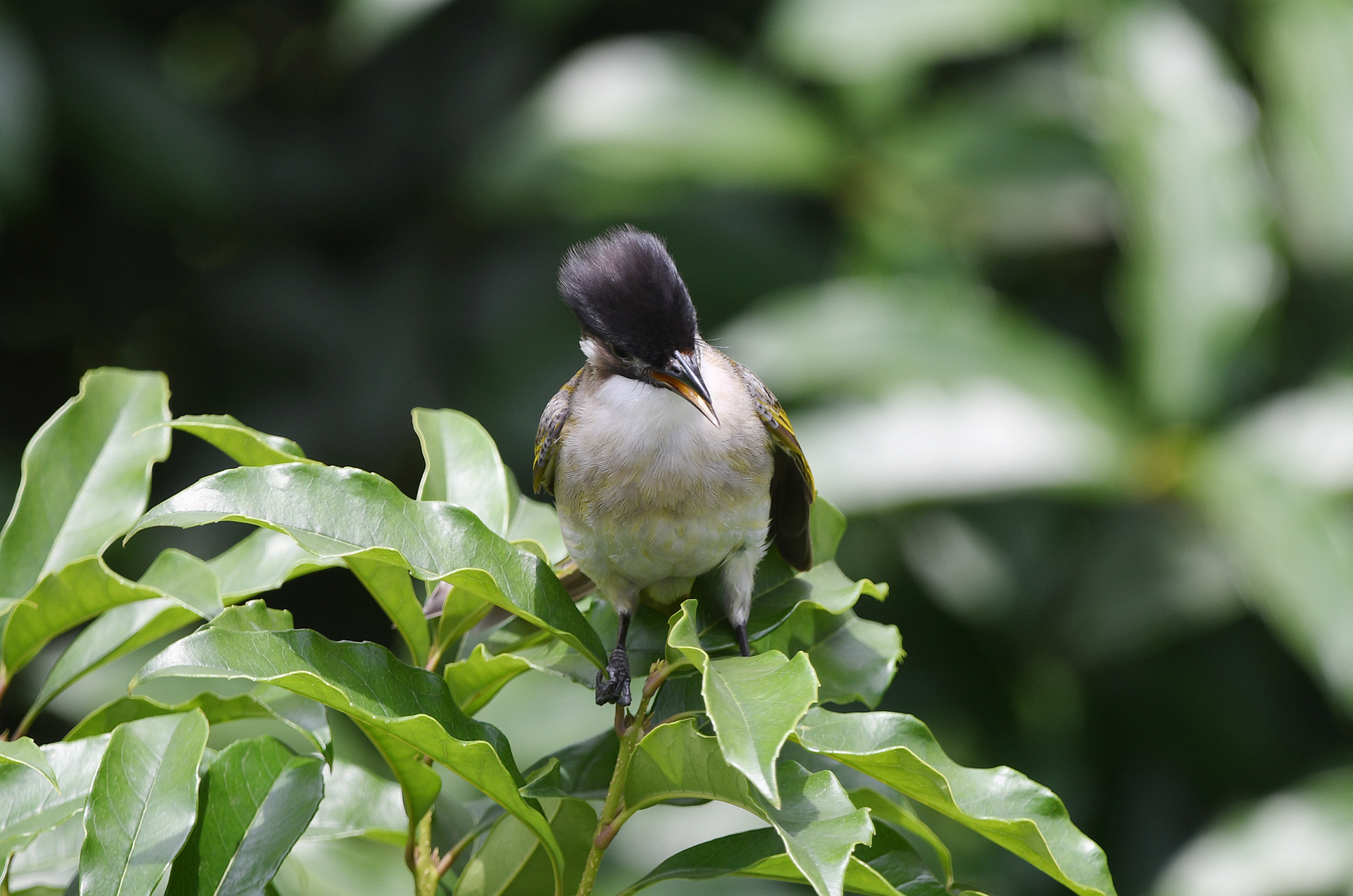 DSC_7751_.jpg