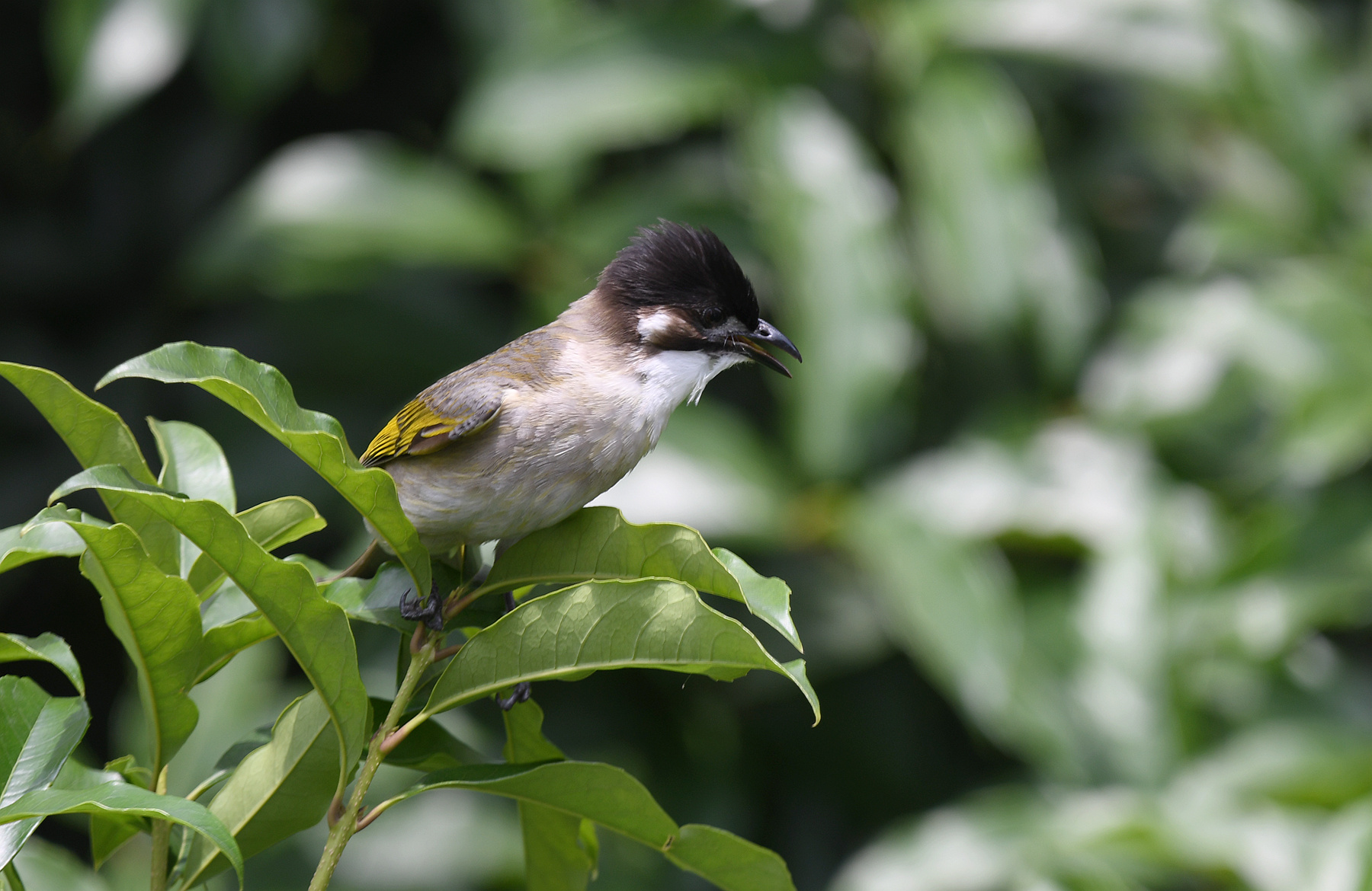 DSC_7765_.jpg