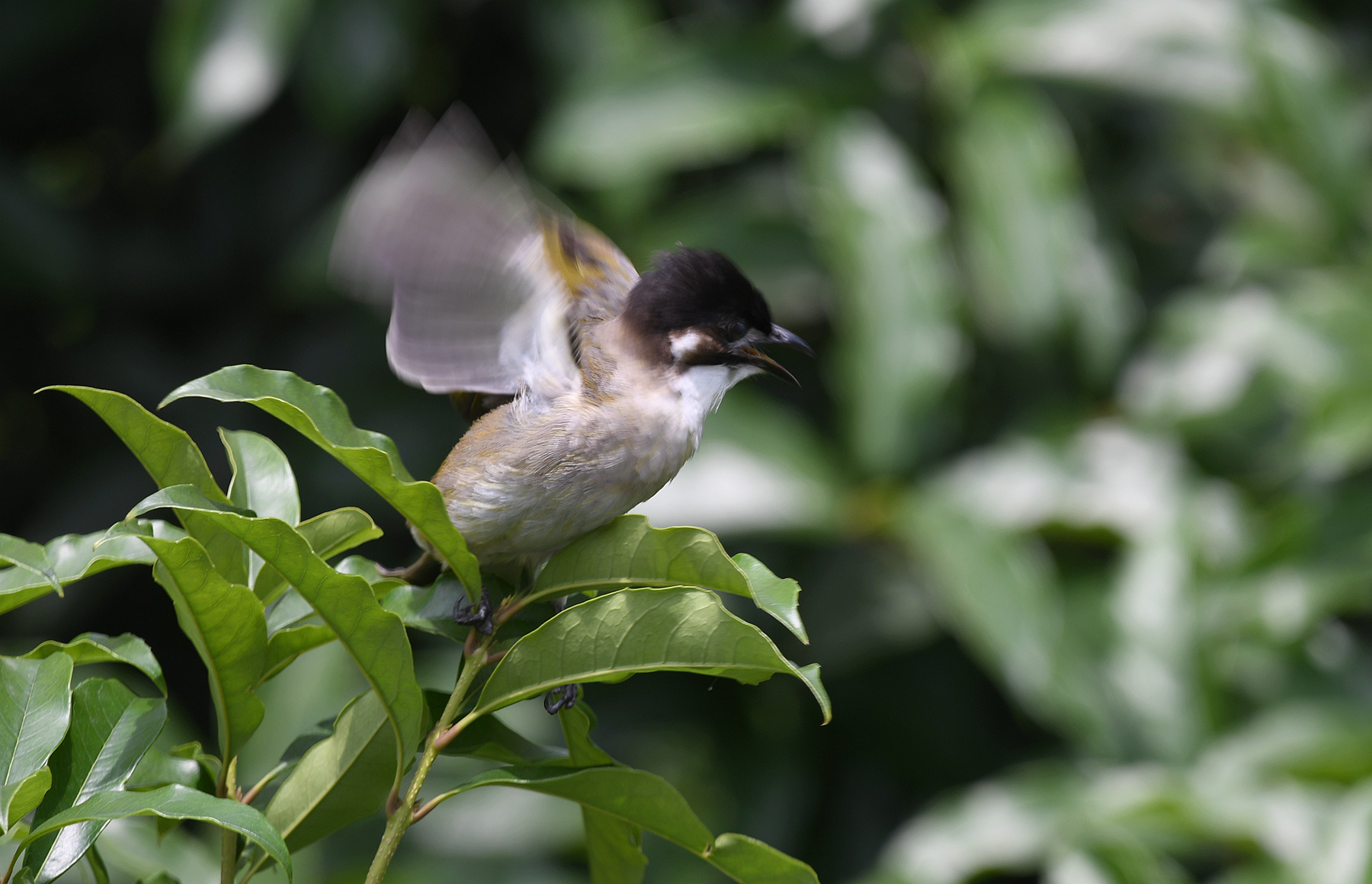 DSC_7766_.jpg