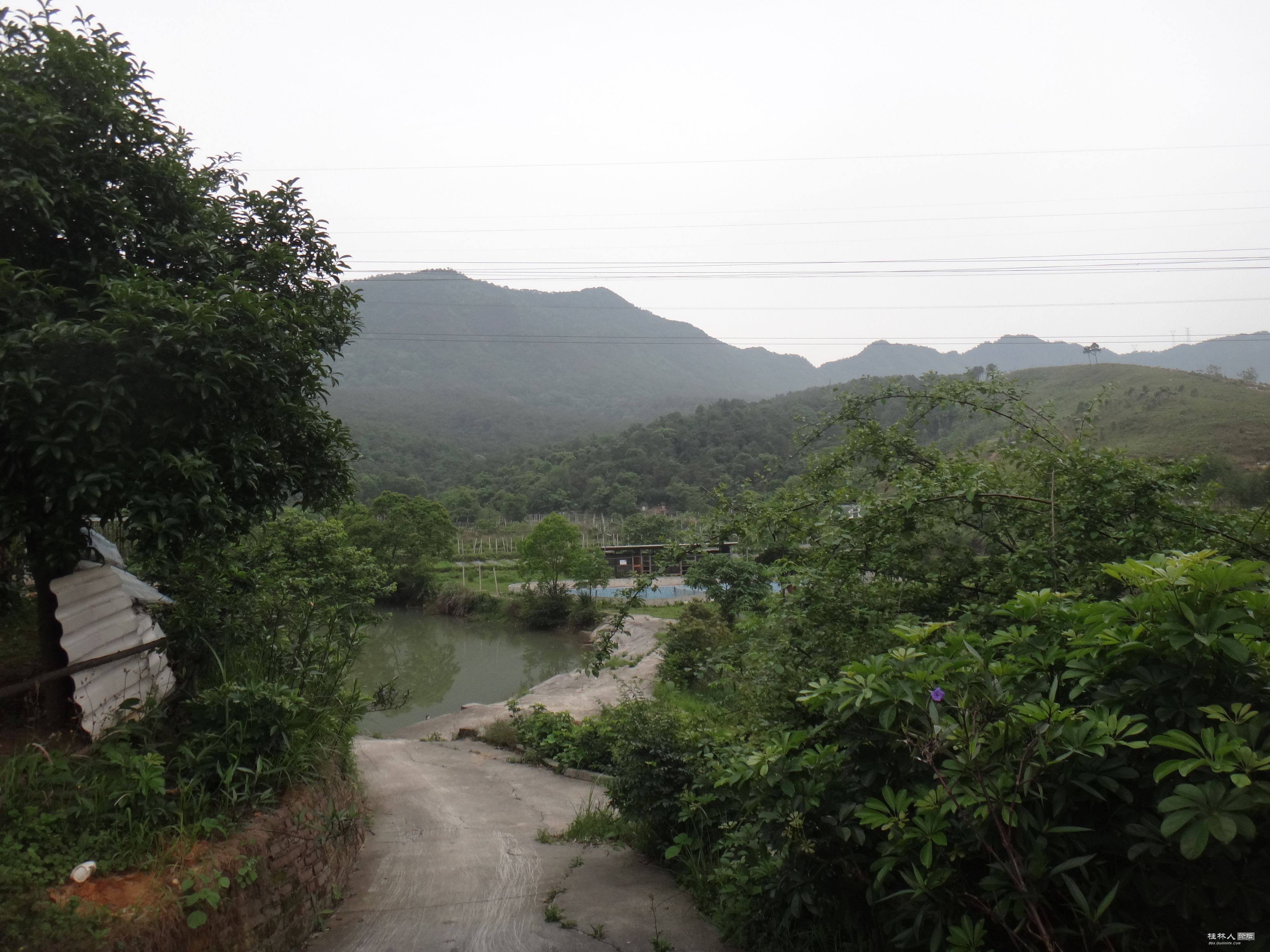 DSC04542.JPG