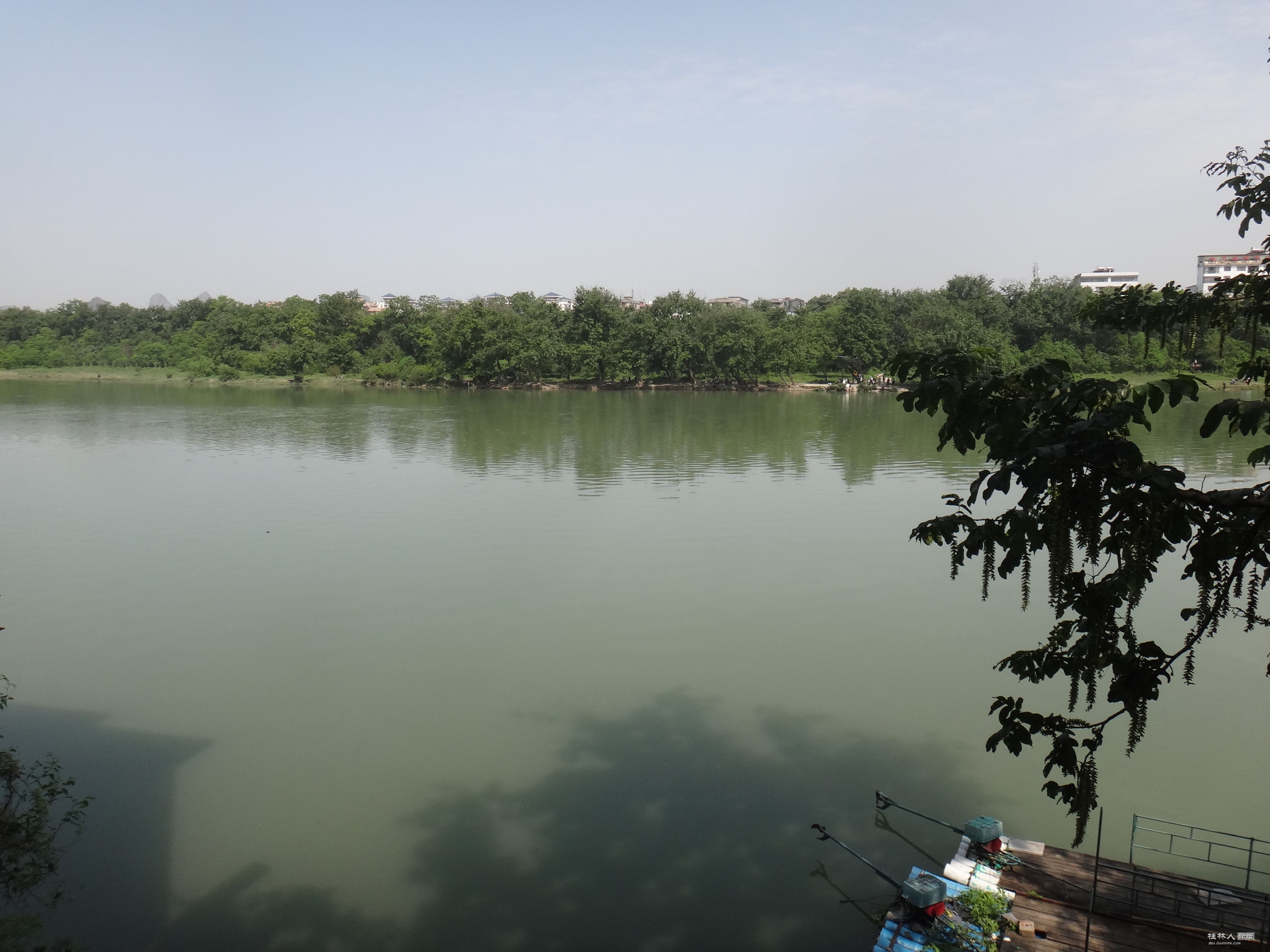 DSC04585.JPG