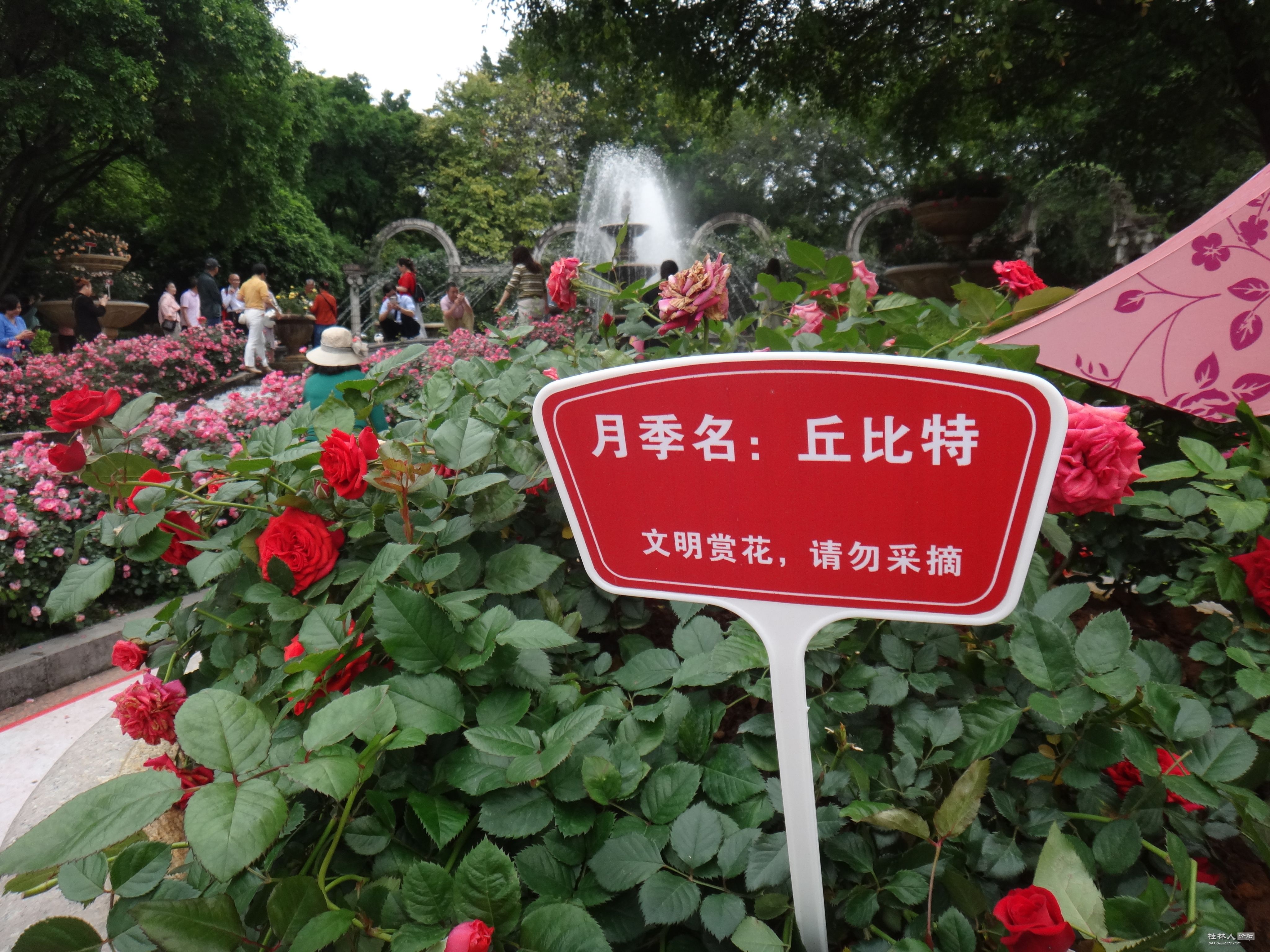 DSC04598.JPG